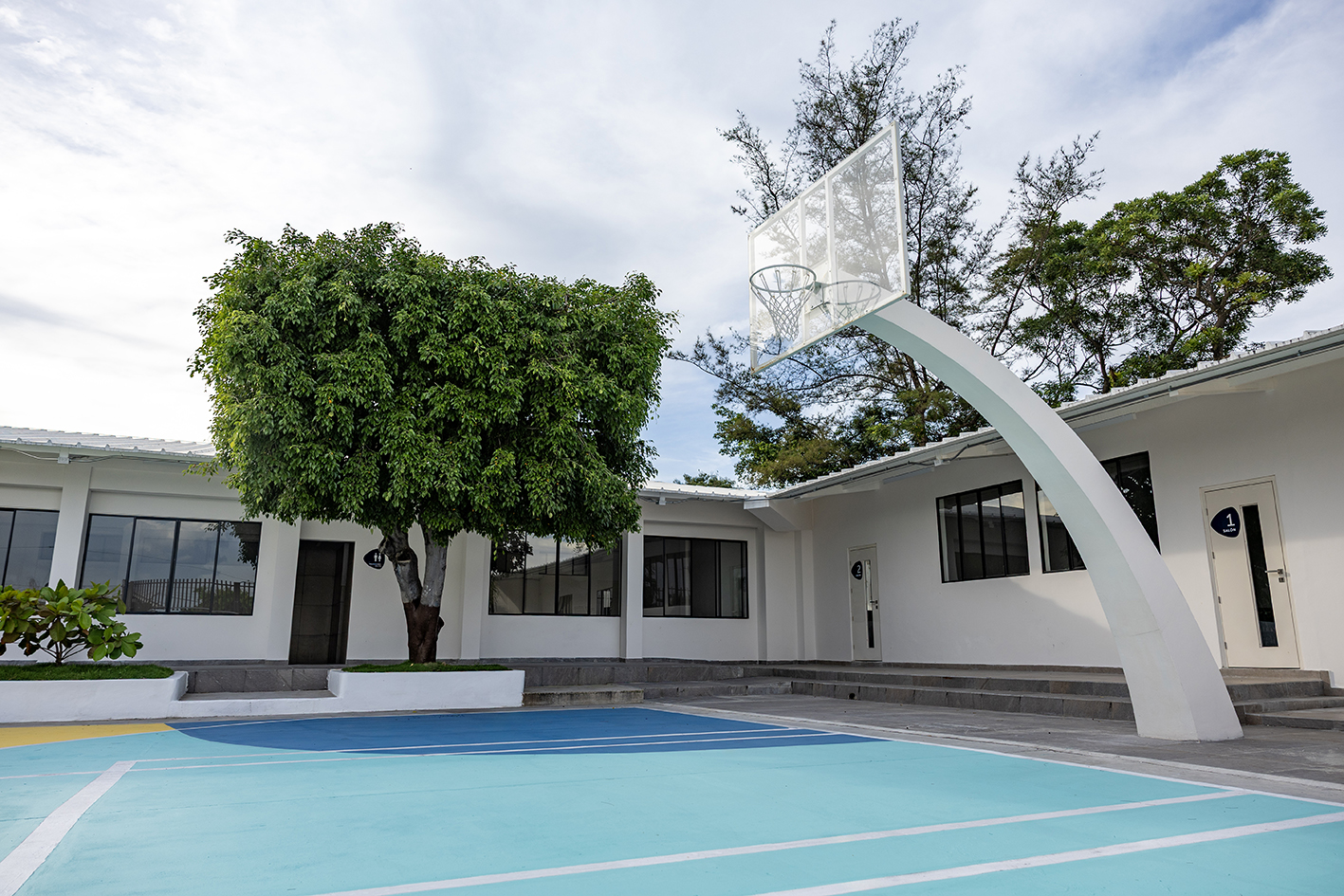 Imagen de la galería