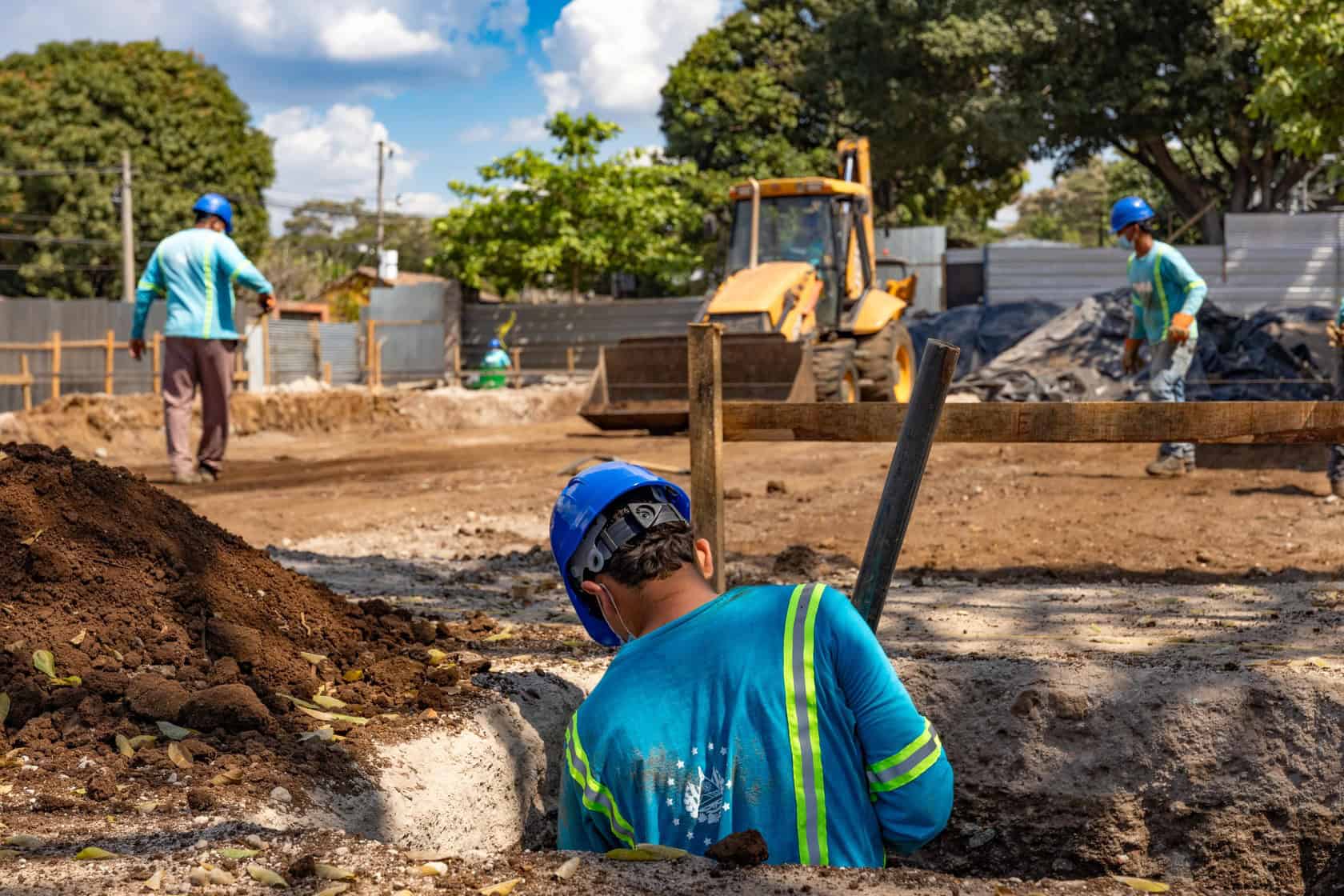 Imagen de la galería