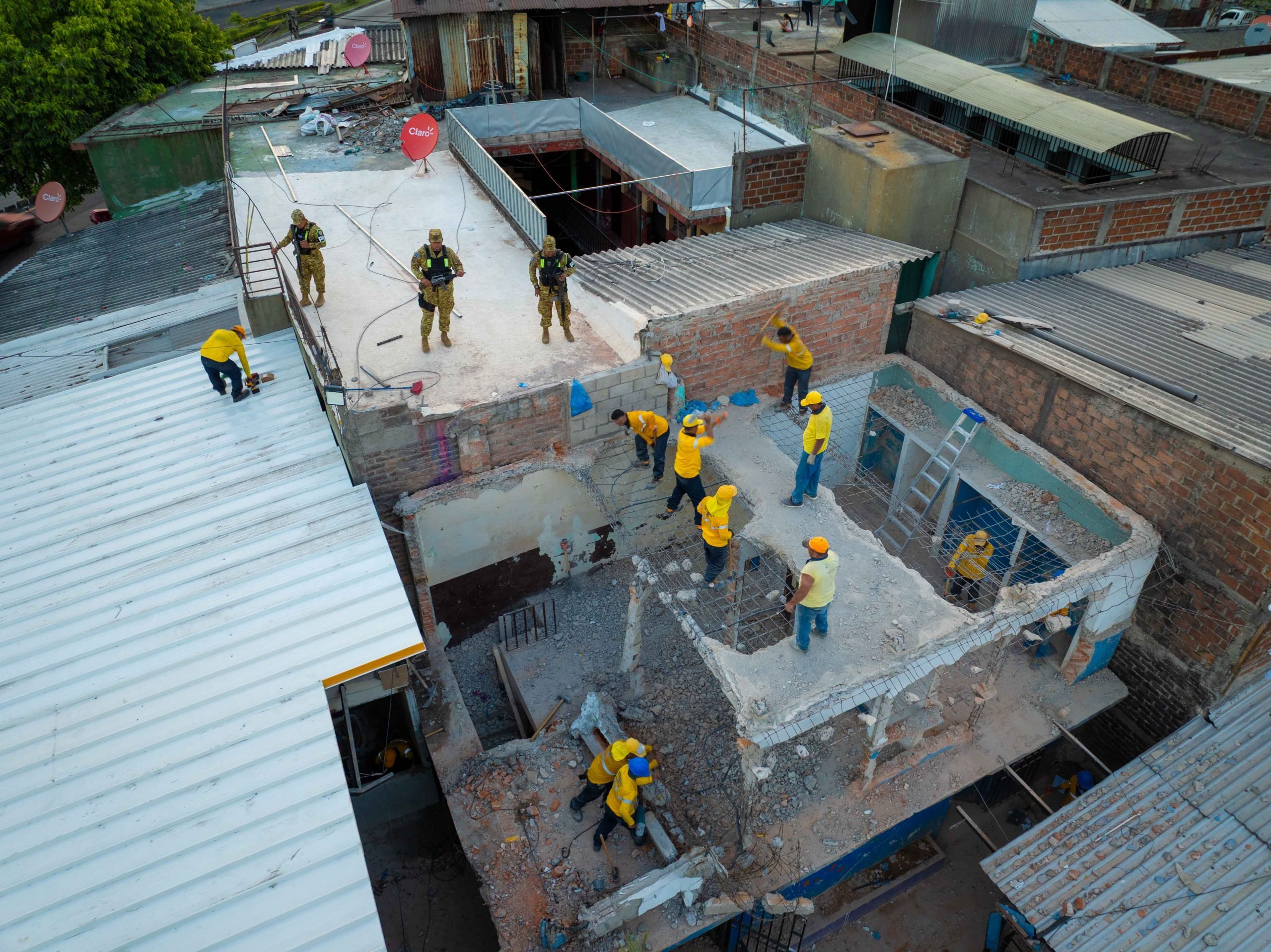 Imagen de la galería