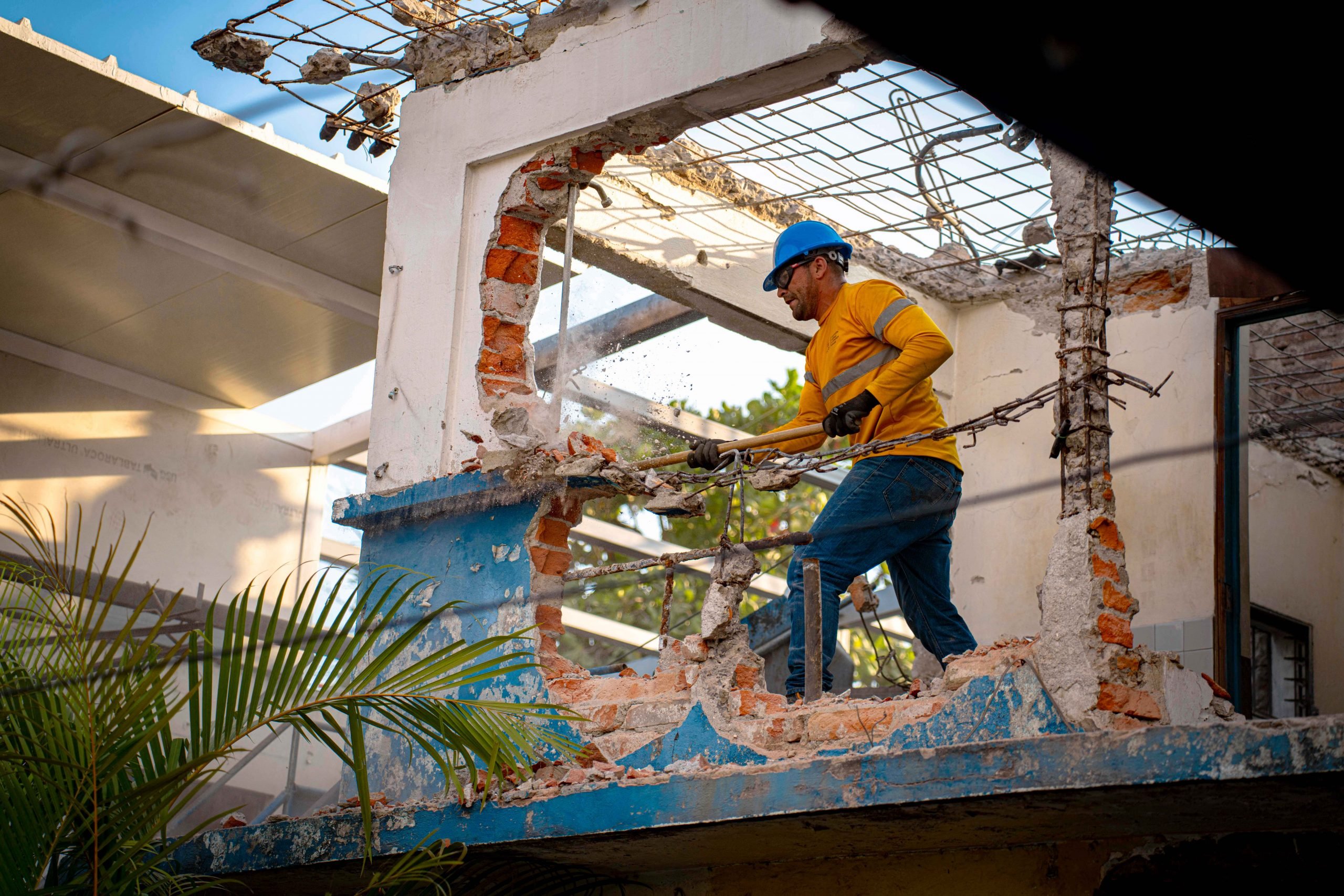 Imagen de la galería