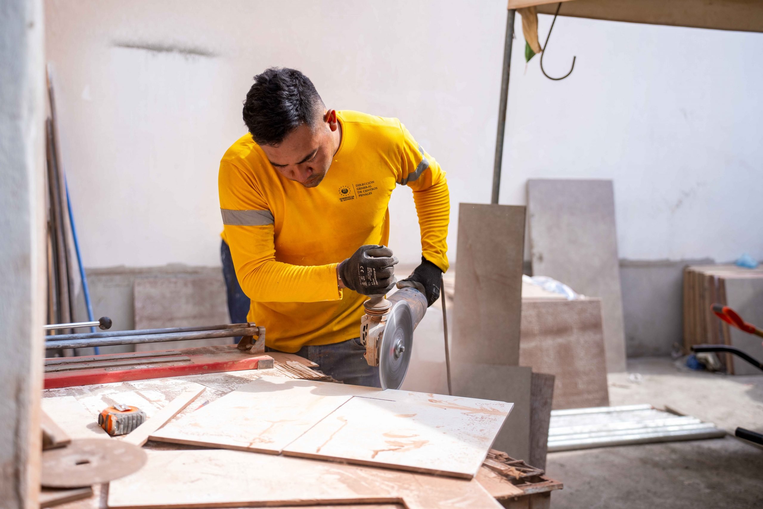 Imagen de la galería