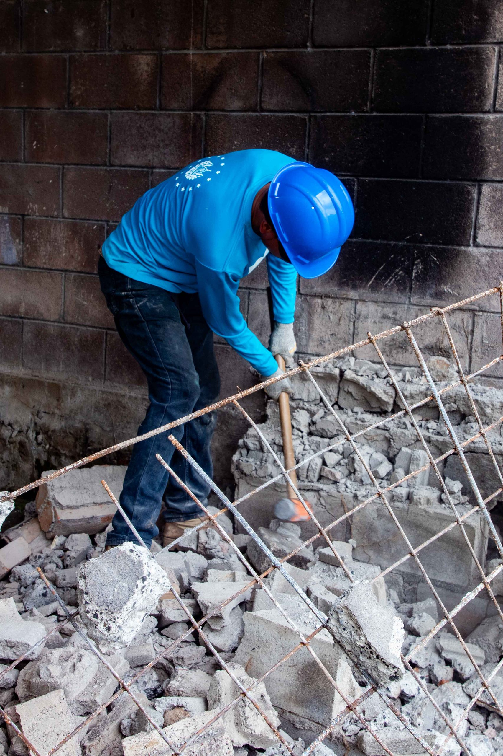 Imagen de la galería