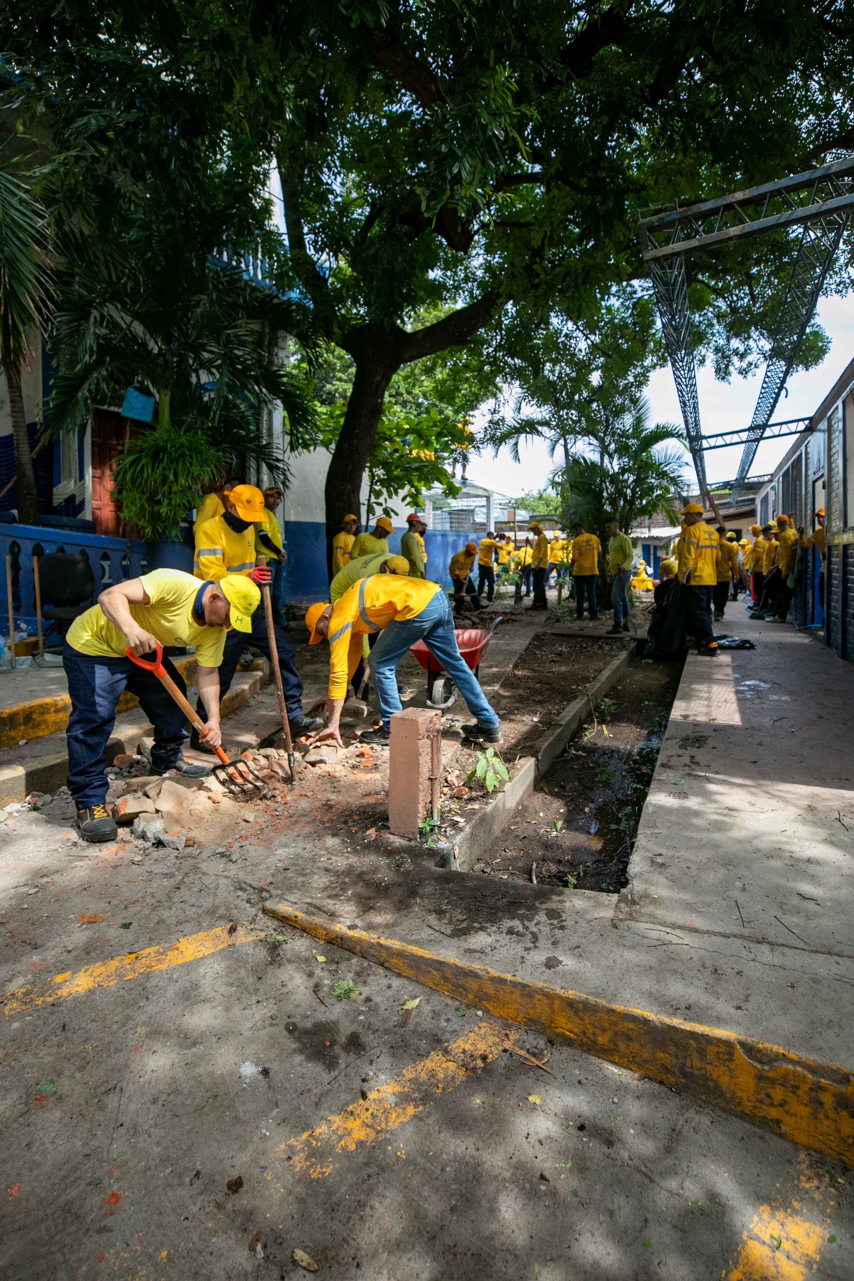 Imagen estado anterior