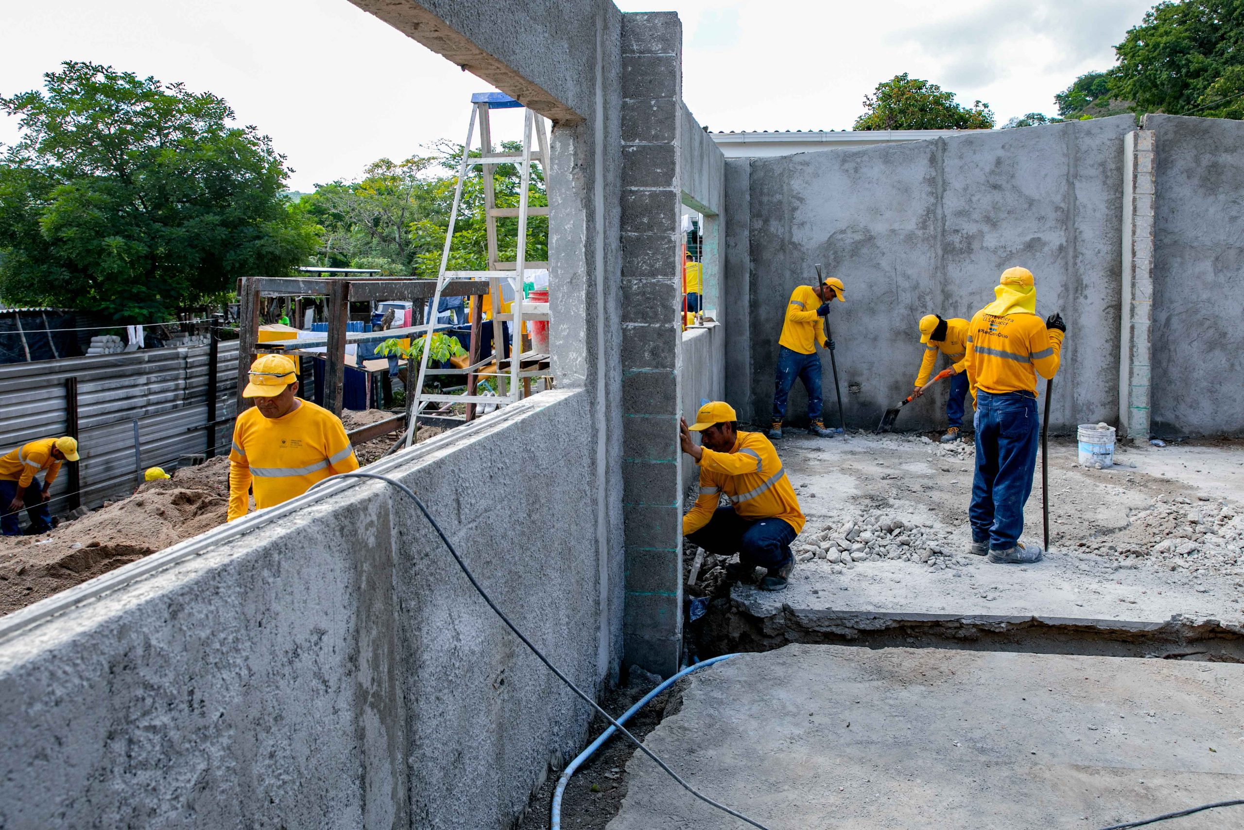 Imagen de la galería