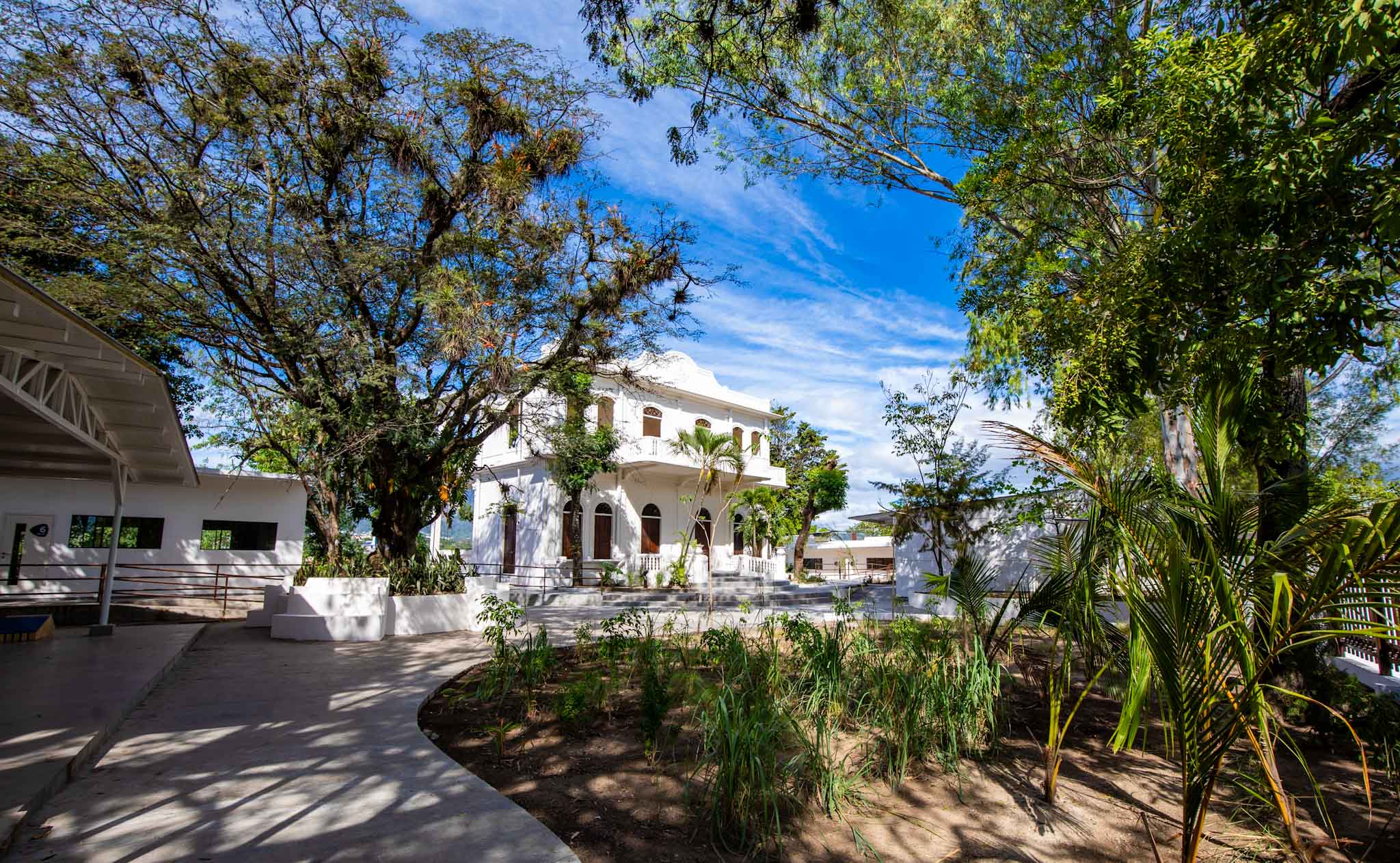 Imagen de la galería