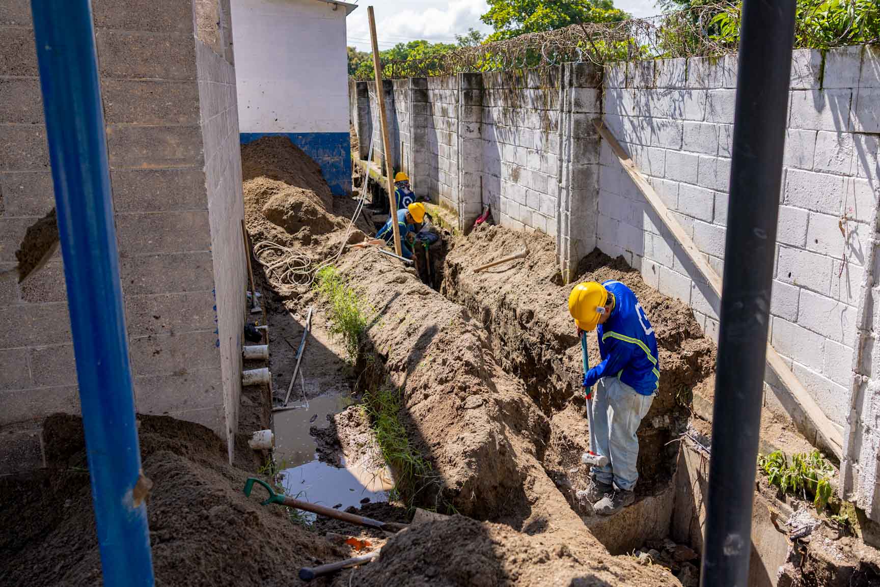 Imagen de la galería