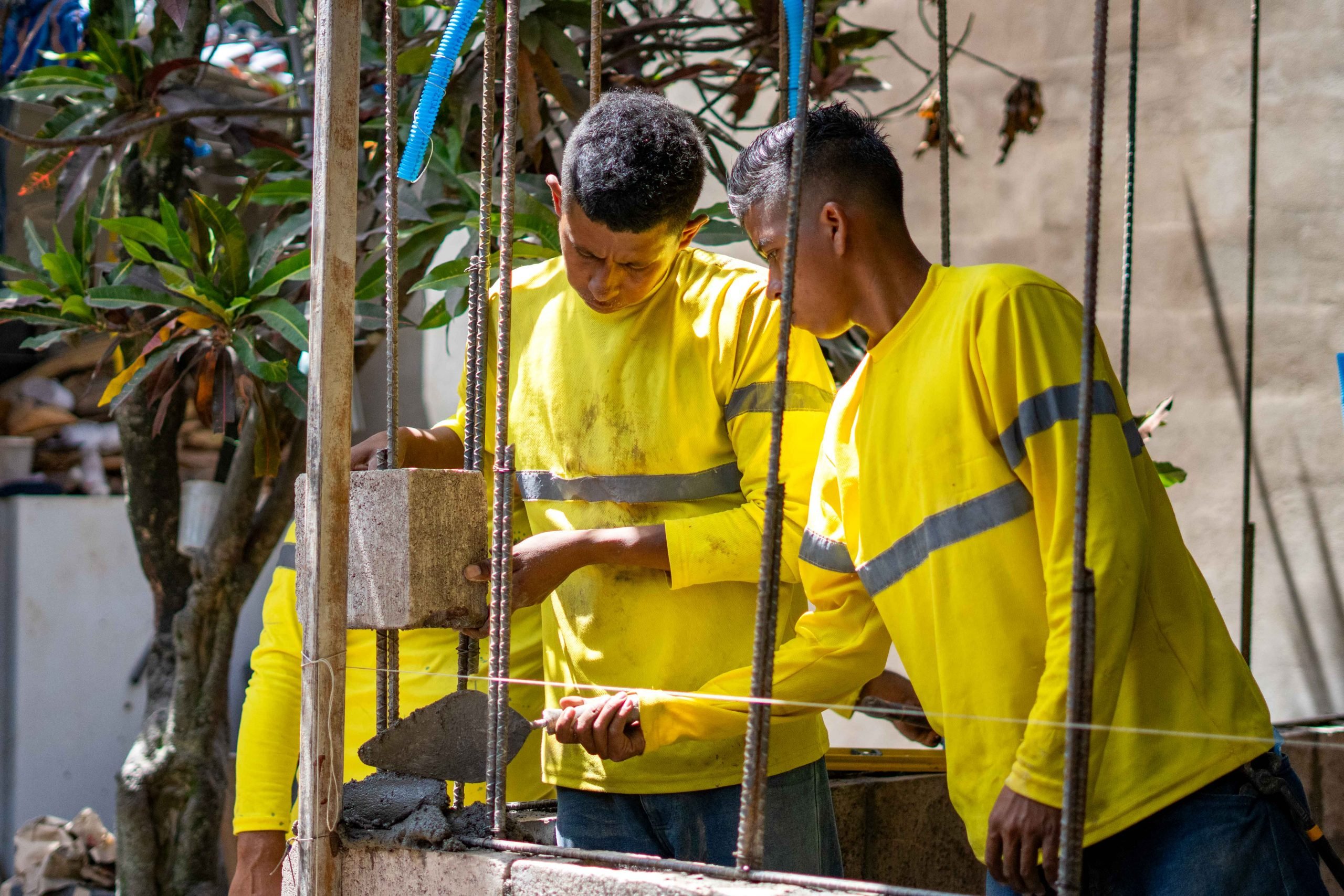 Imagen de la galería