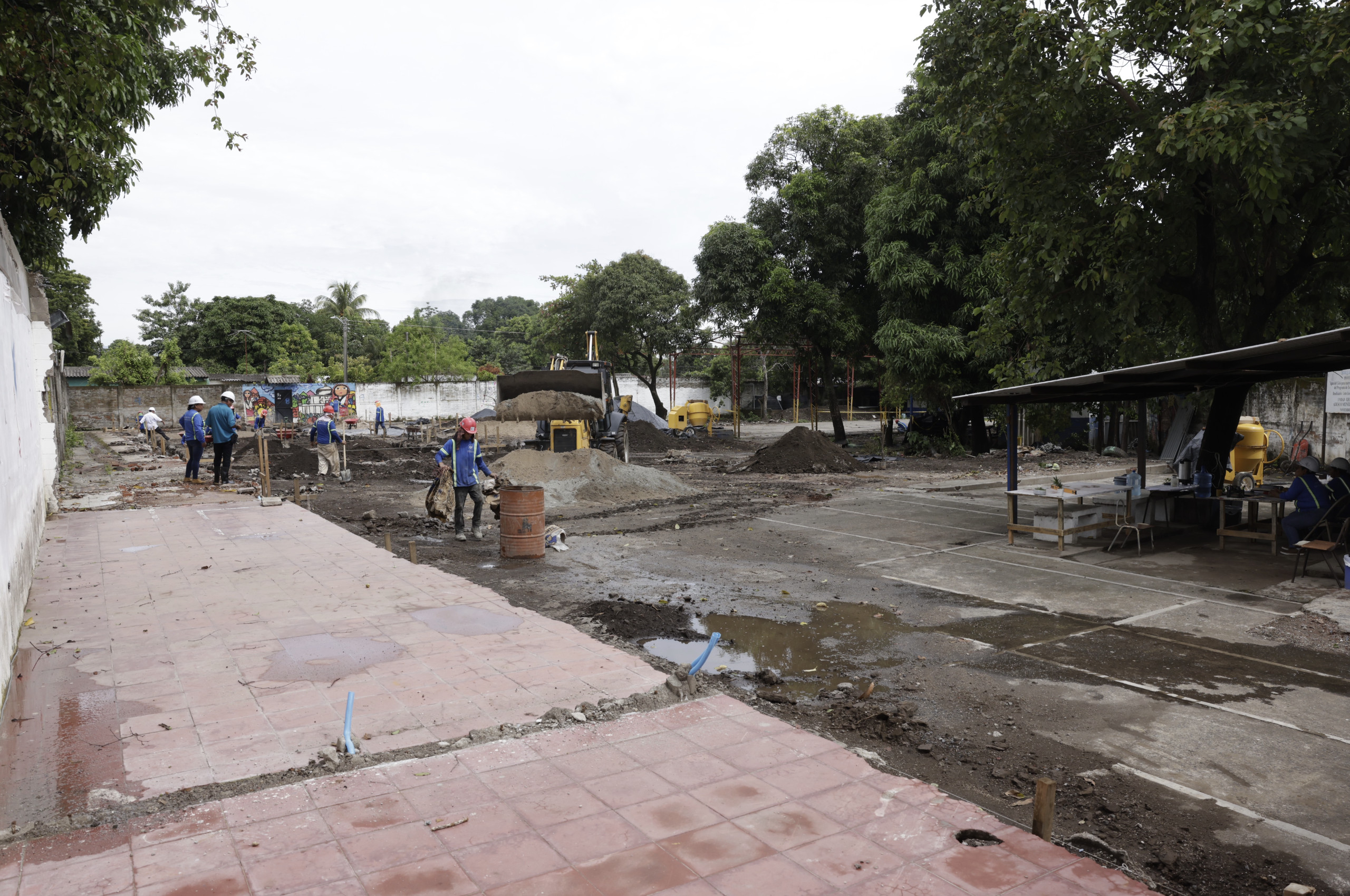 Imagen de la galería