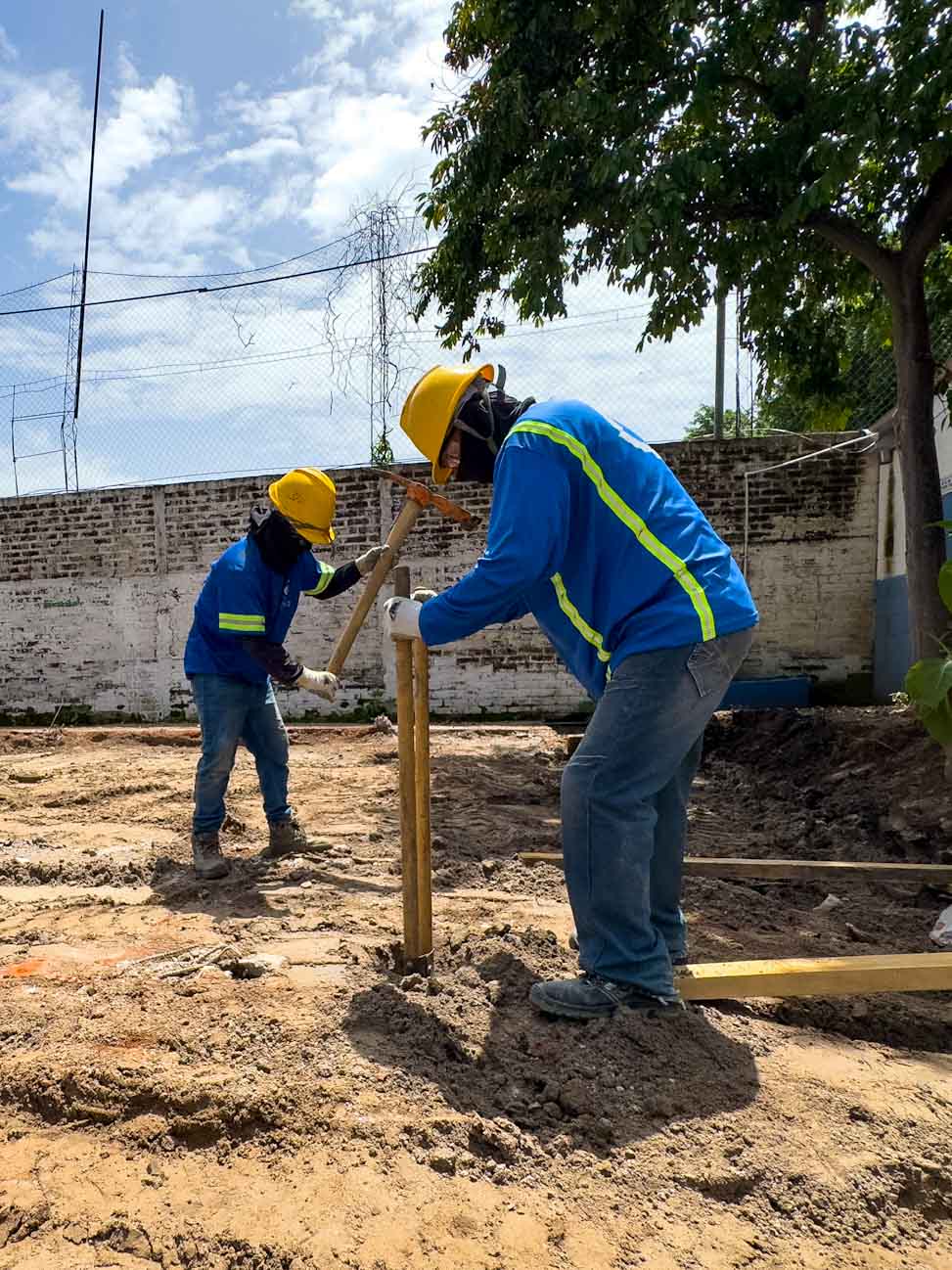 Imagen de la galería