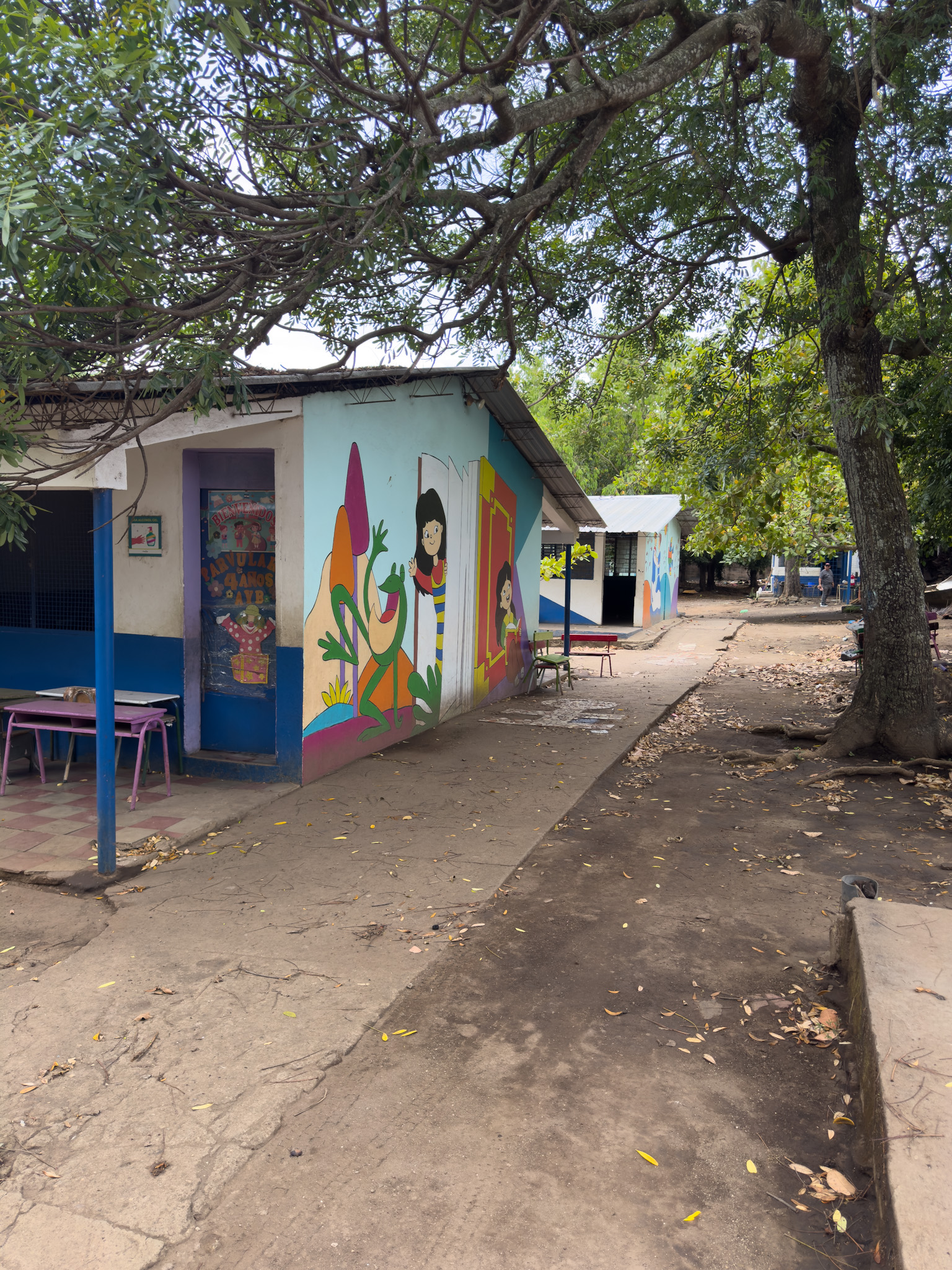 Imagen estado anterior