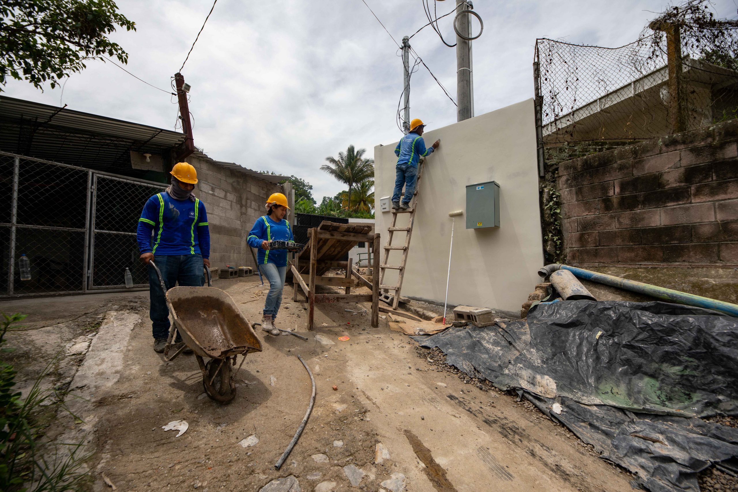 Imagen de la galería