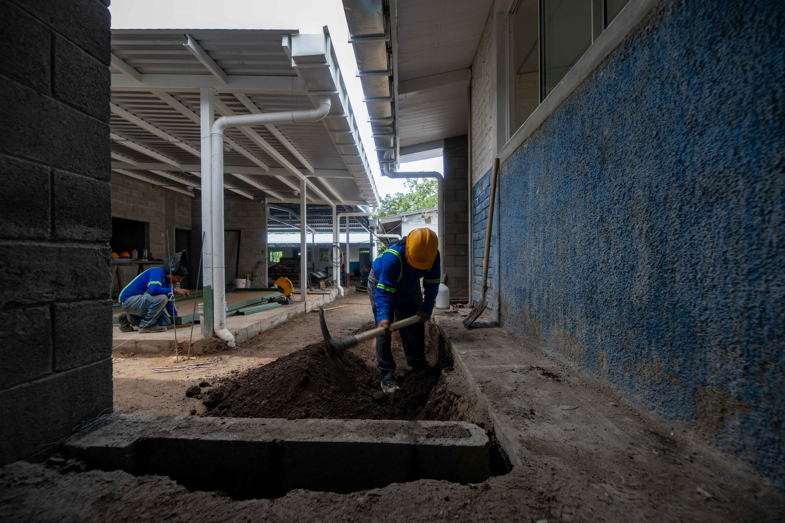 Imagen de la galería