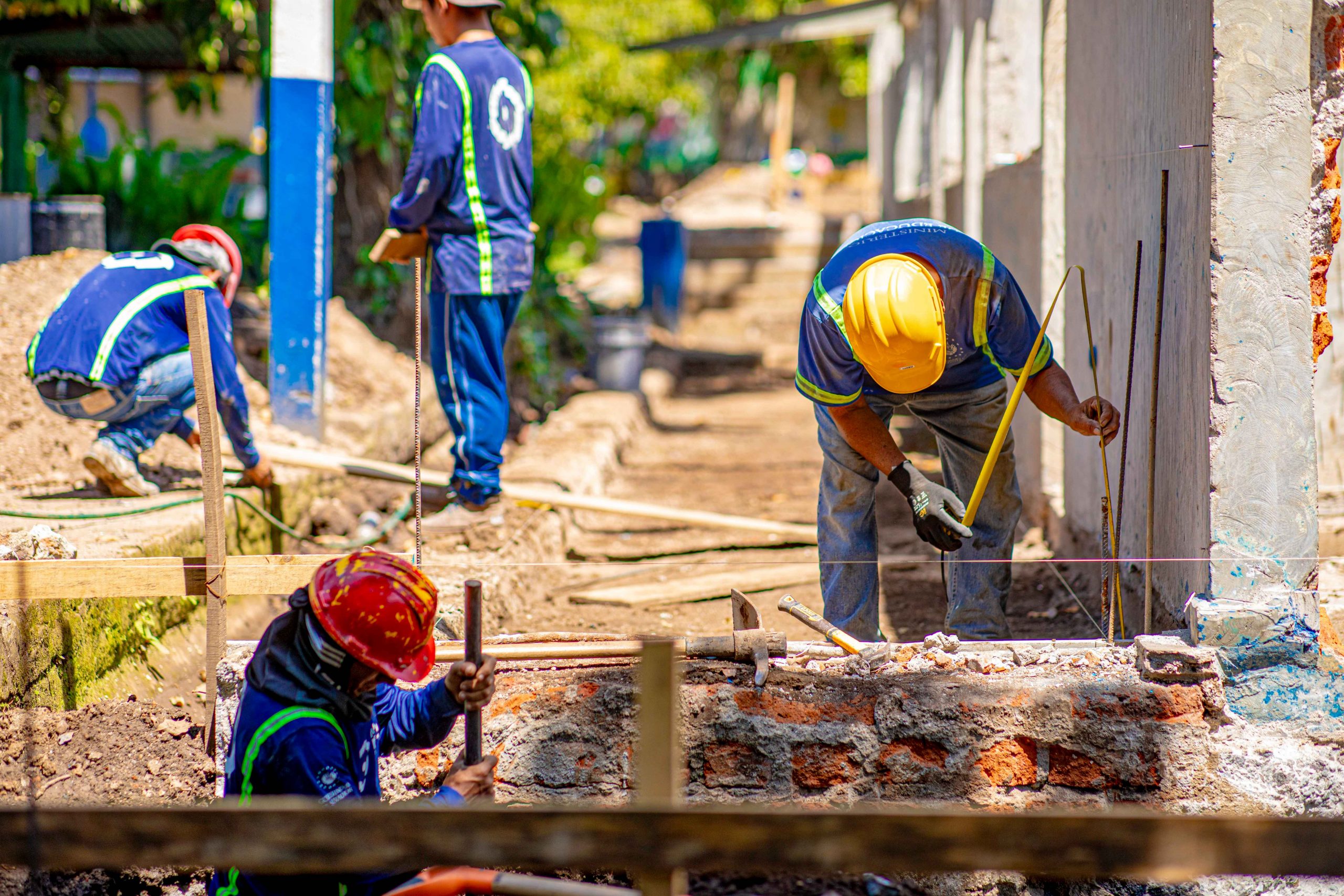 Imagen de la galería