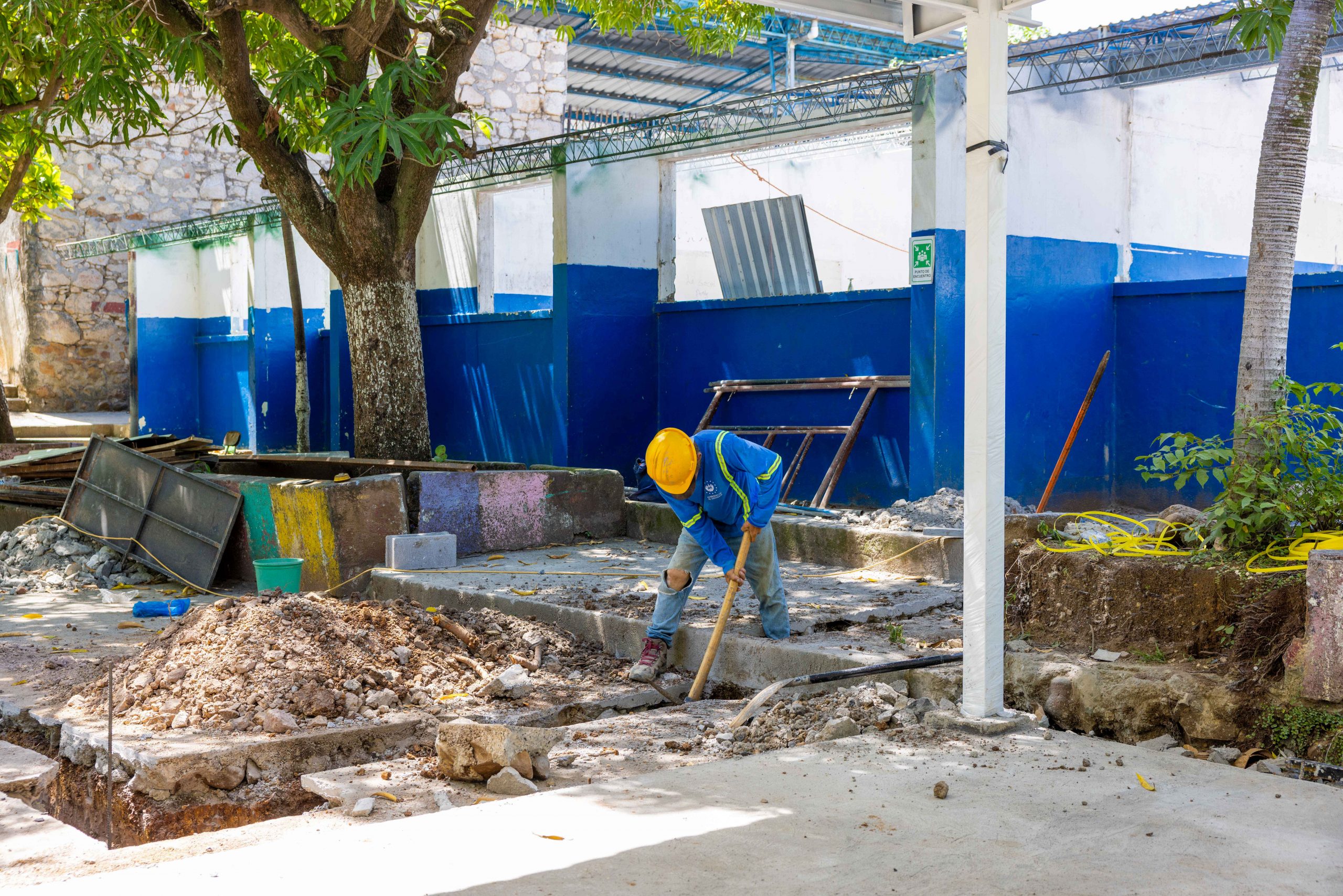 Imagen de la galería