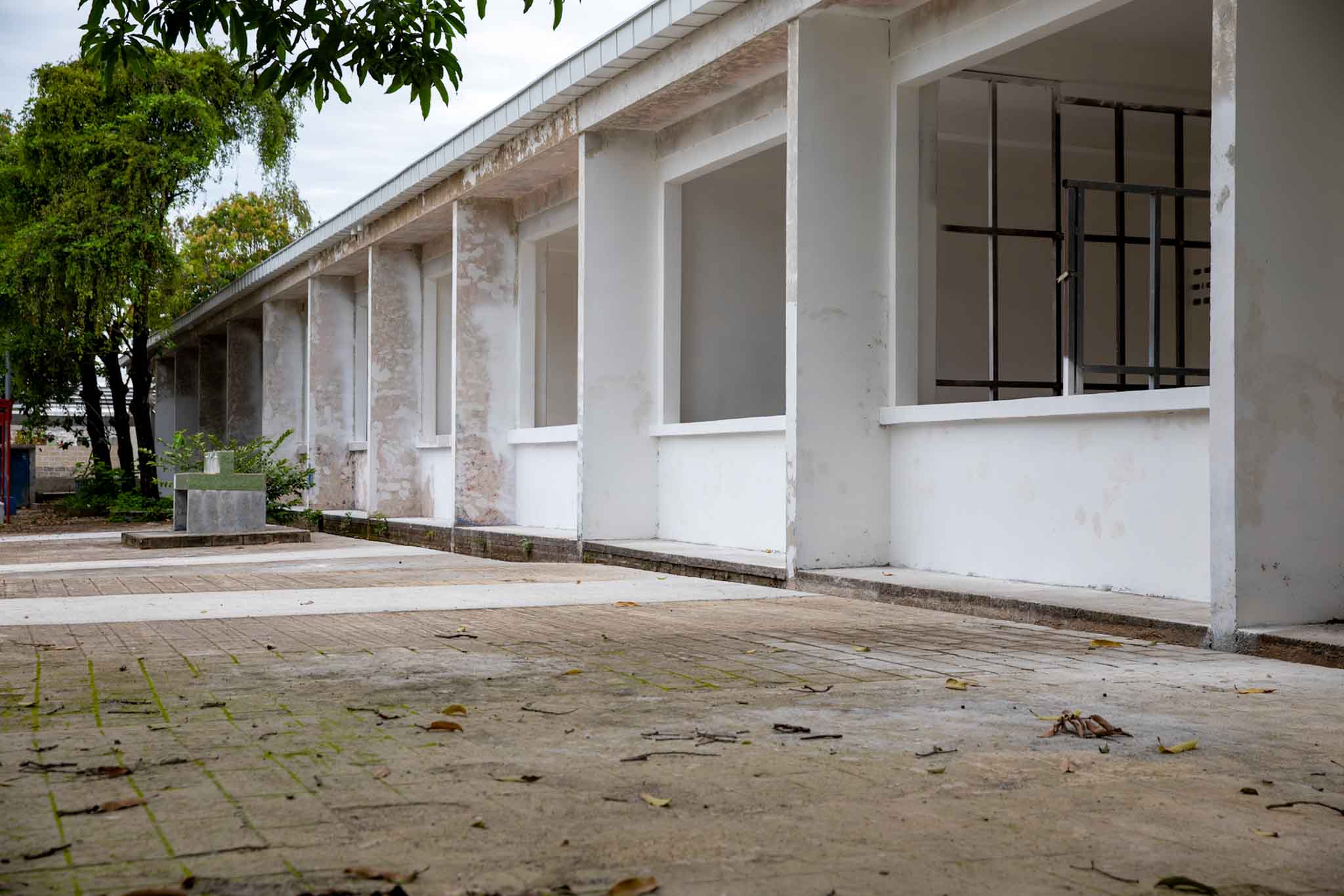 Imagen de la galería