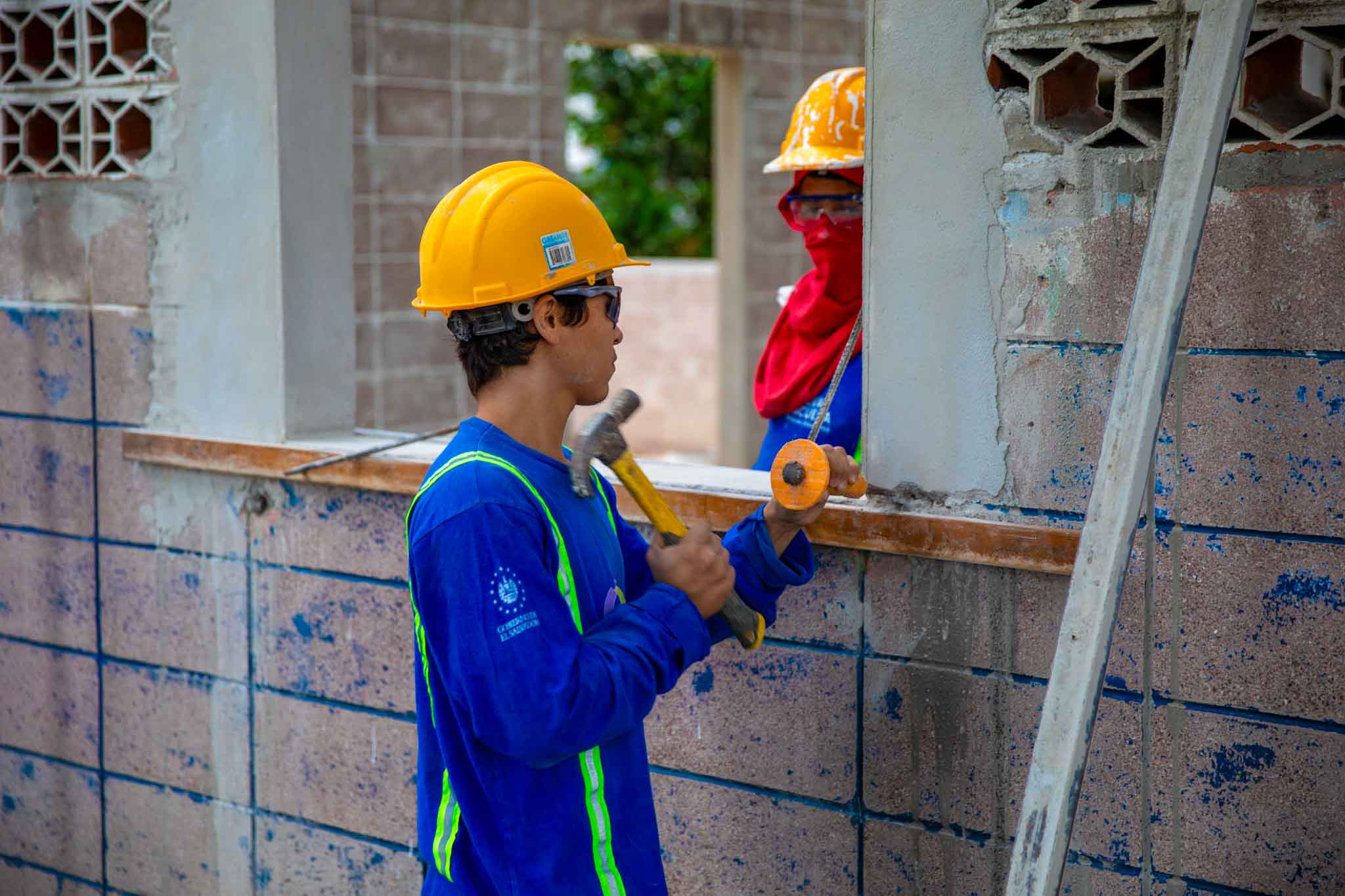 Imagen de la galería