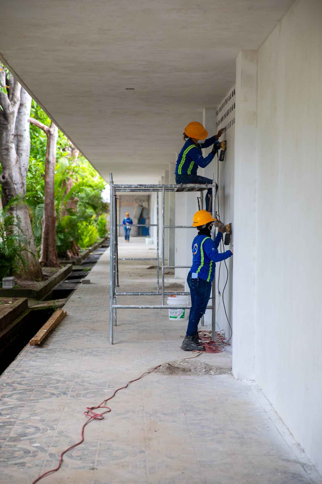 Imagen de la galería