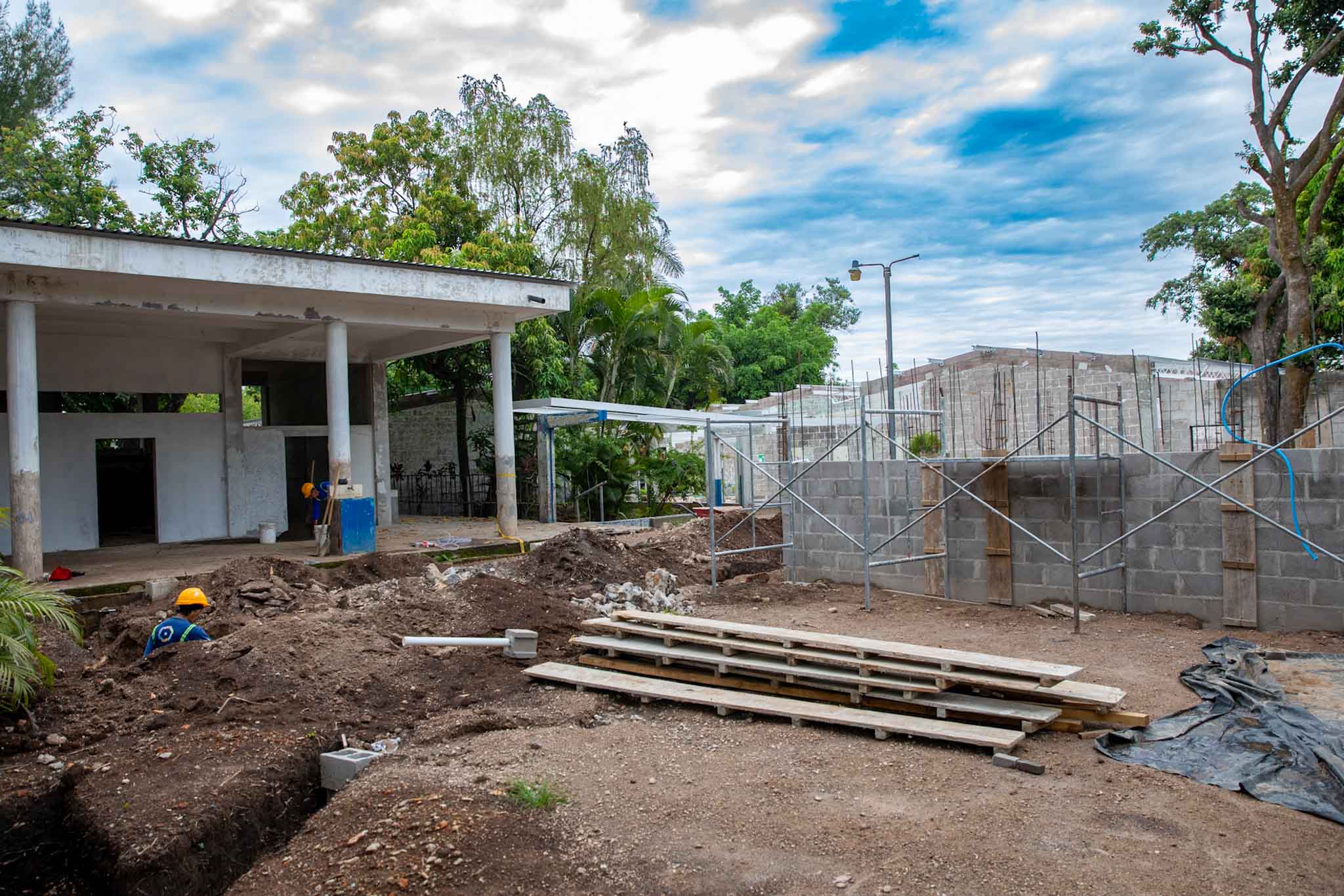 Imagen de la galería