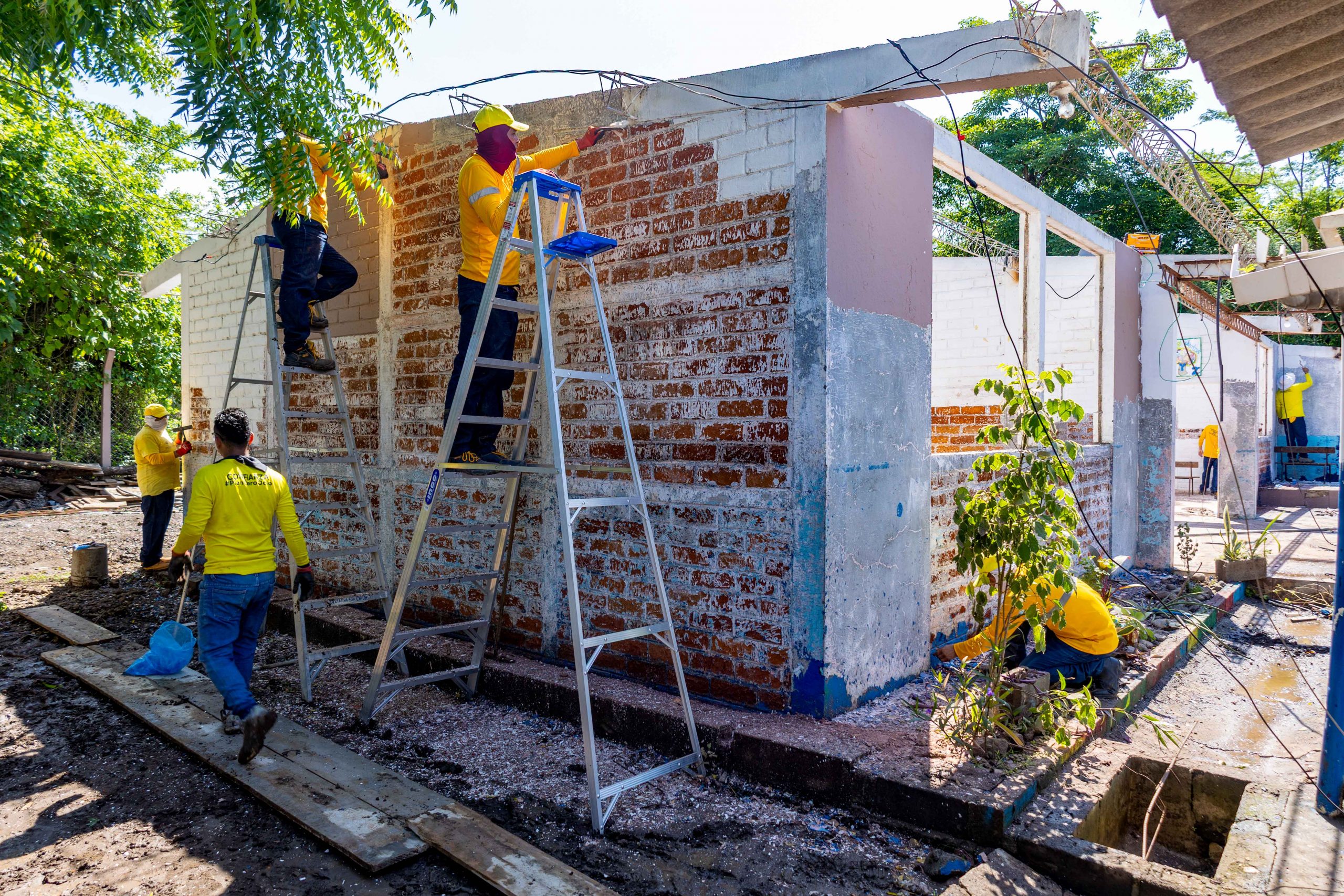 Imagen de la galería