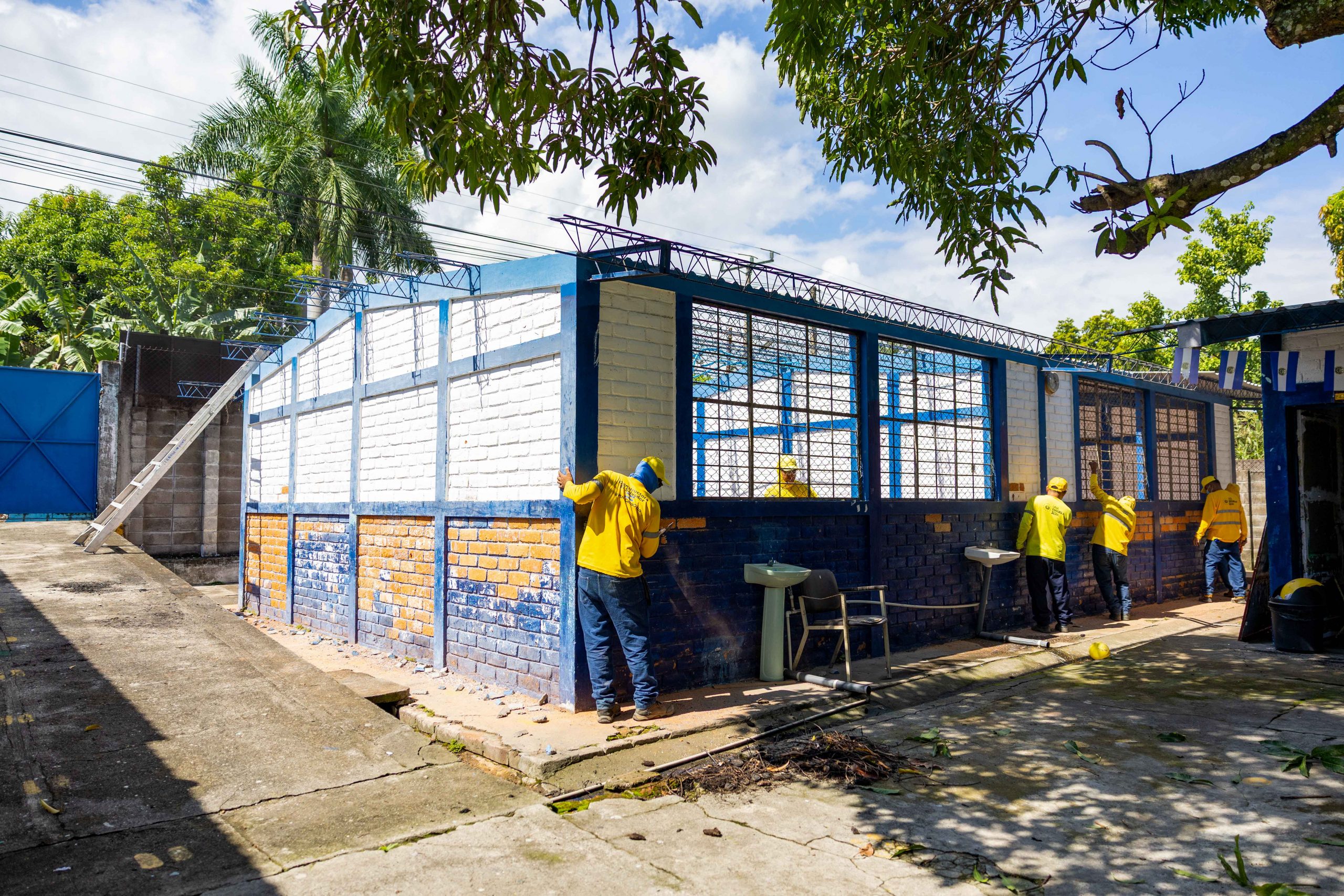 Imagen de la galería