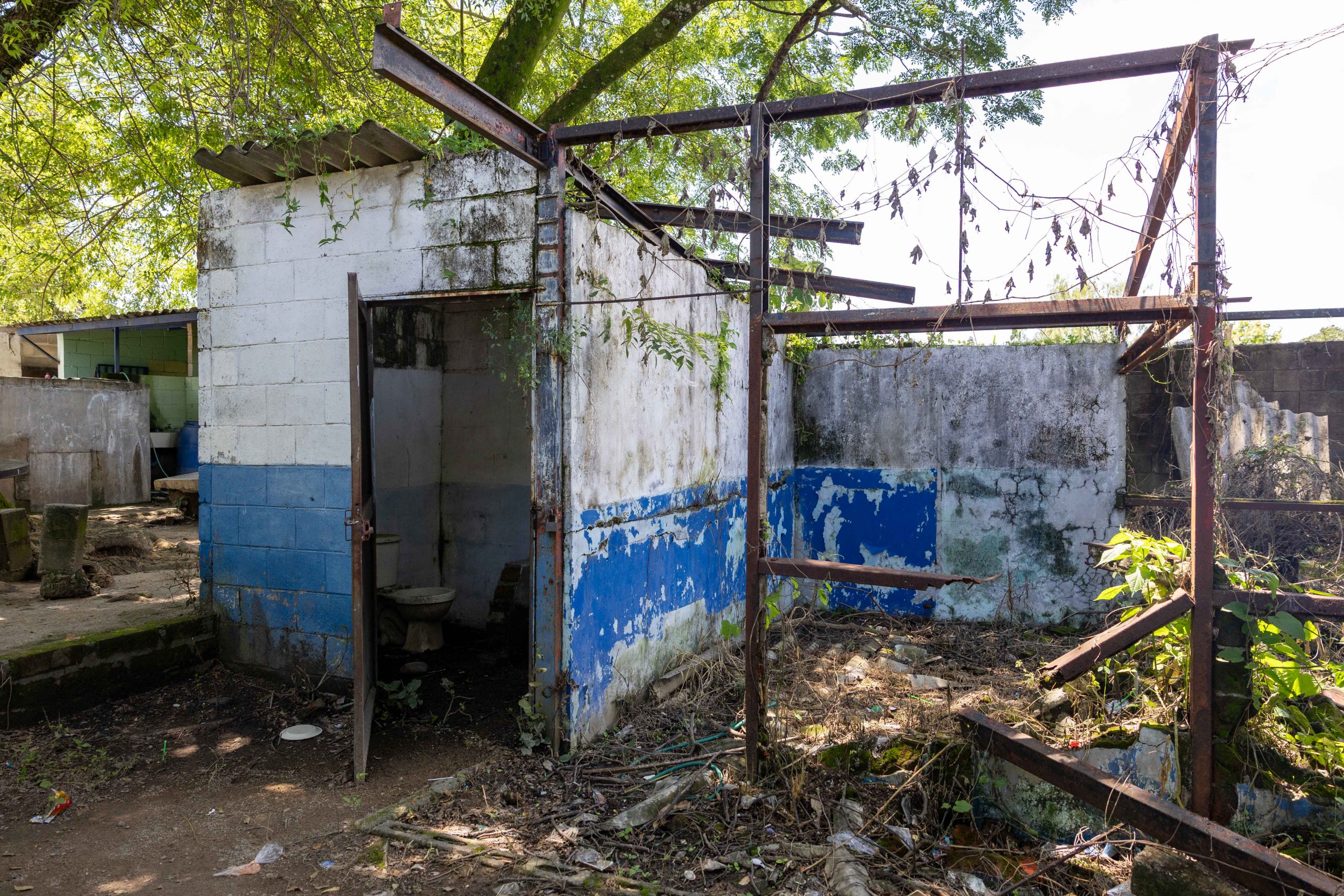 Imagen de la galería