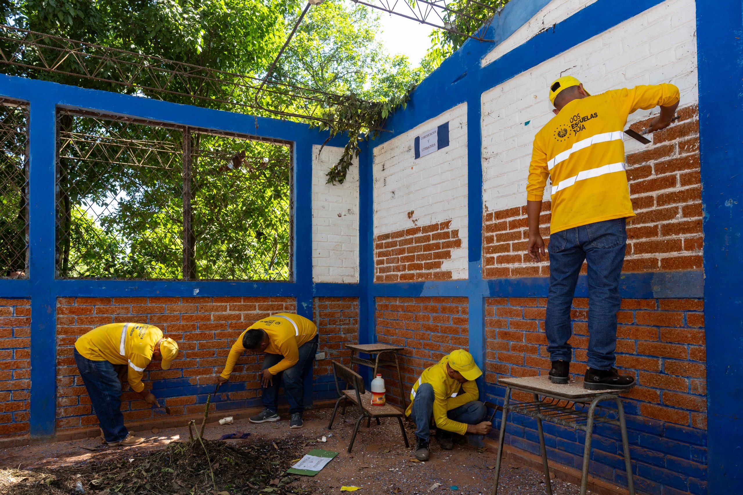 Imagen de la galería
