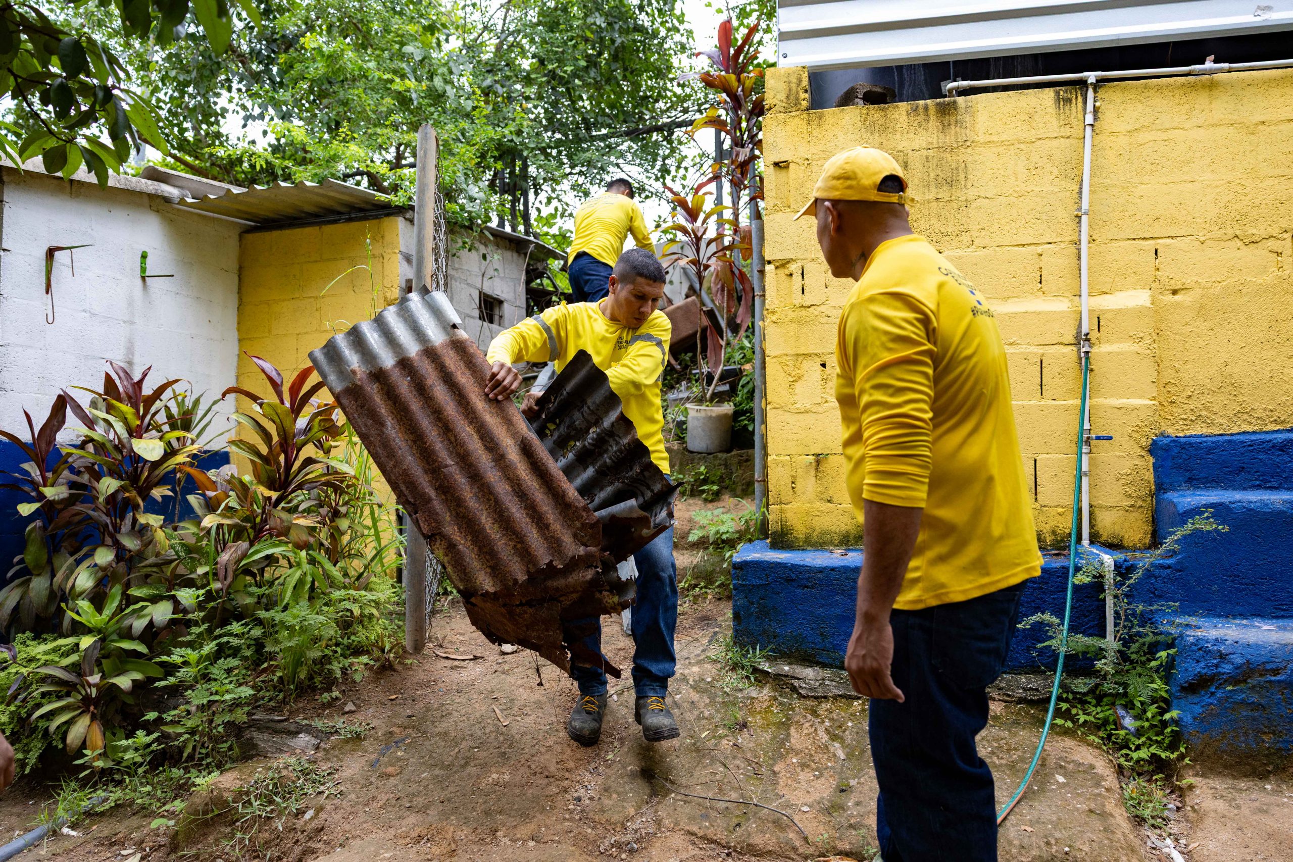 Imagen de la galería