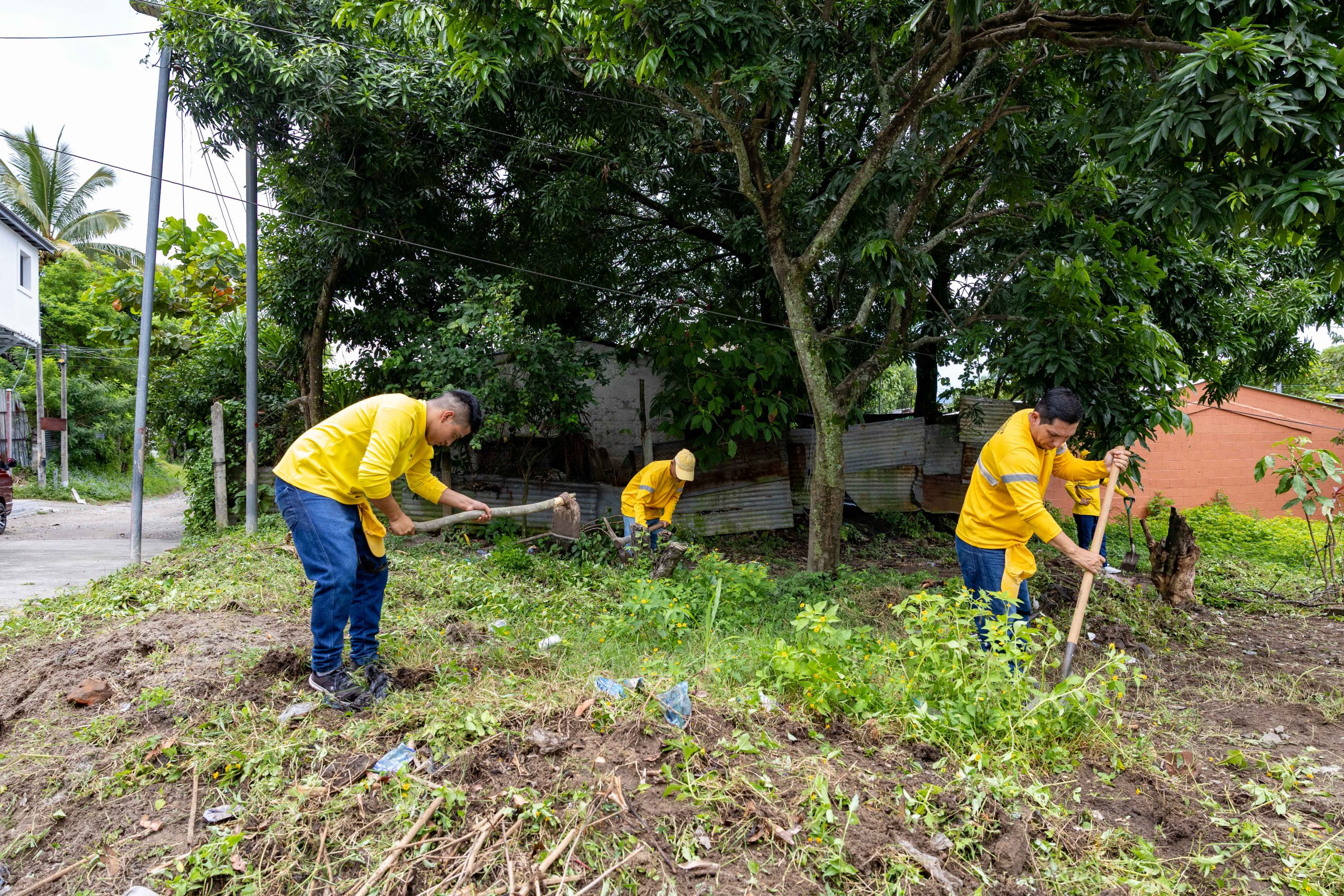 Imagen de la galería