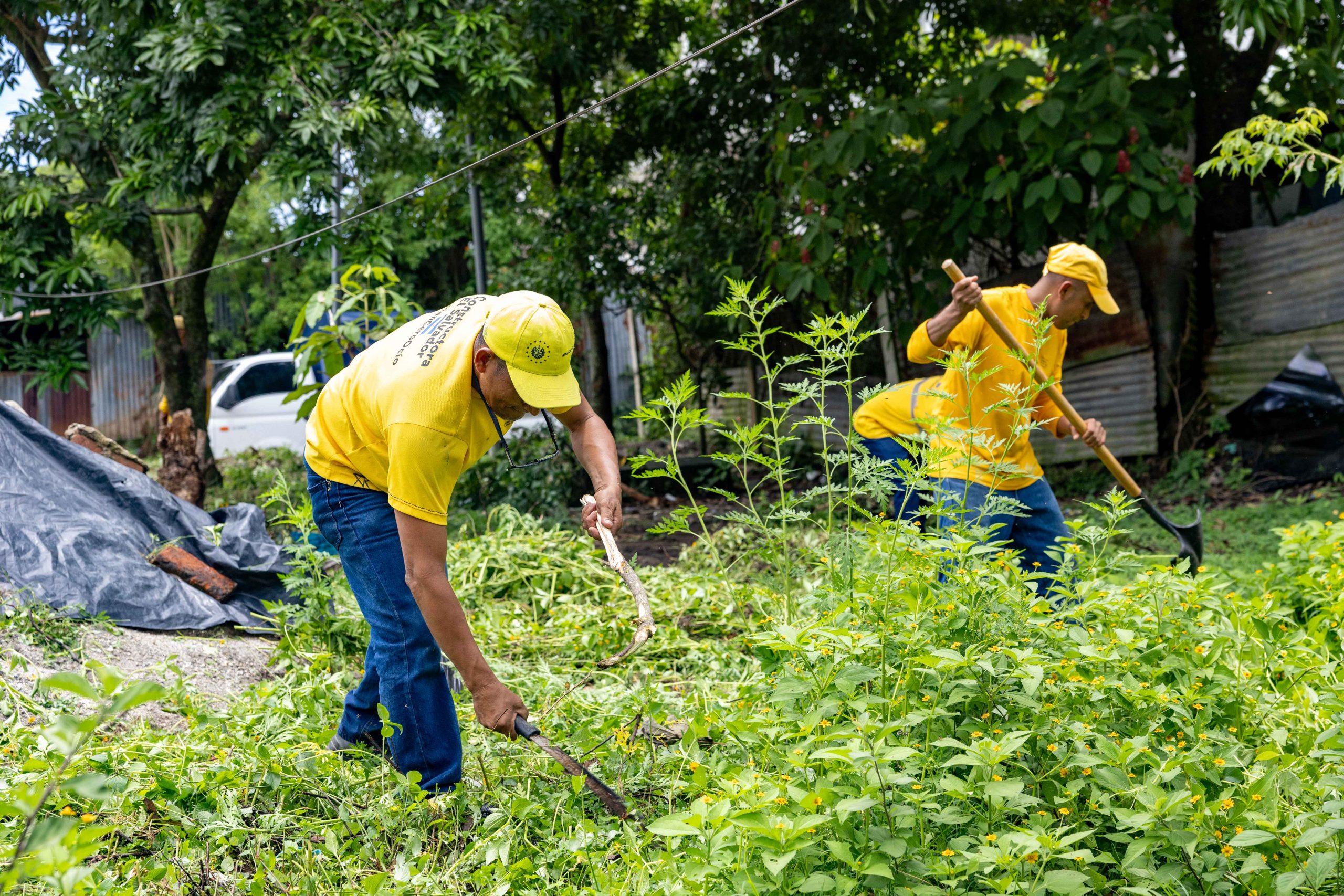 Imagen de la galería
