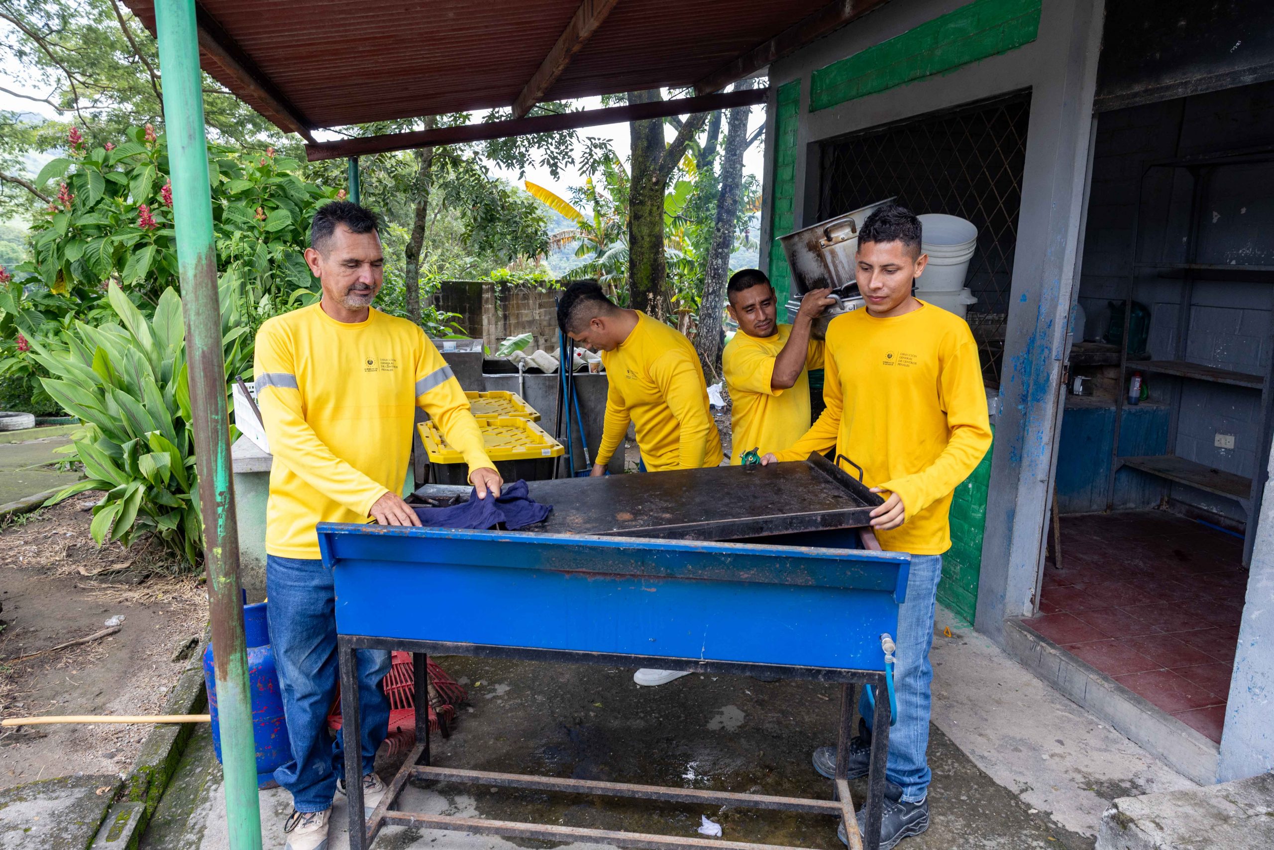 Imagen de la galería