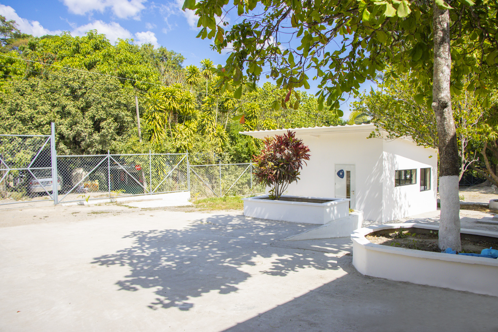 Imagen de la galería