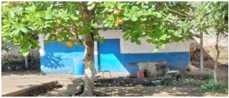 Imagen estado anterior