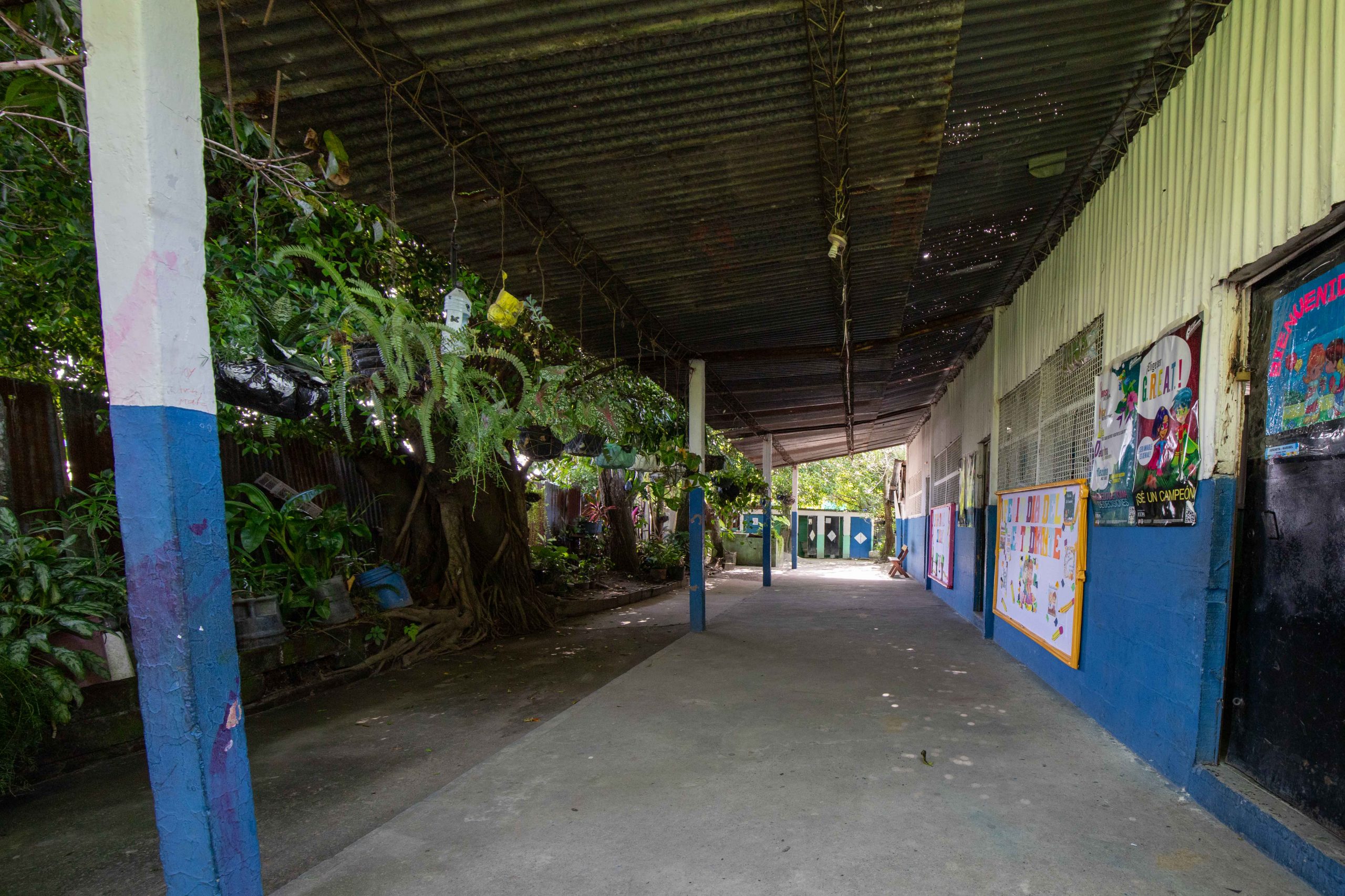 Imagen estado anterior