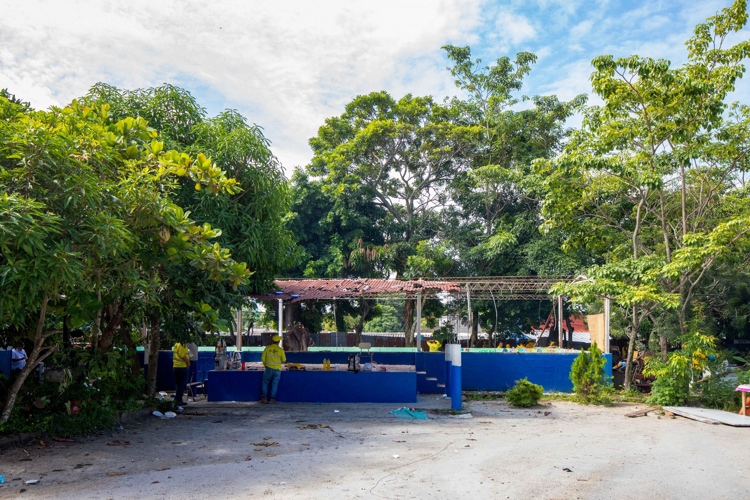 Imagen de la galería