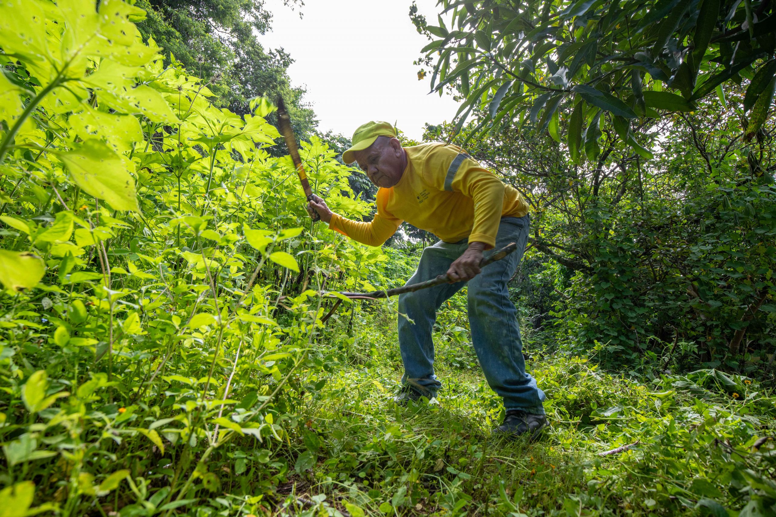 Imagen de la galería