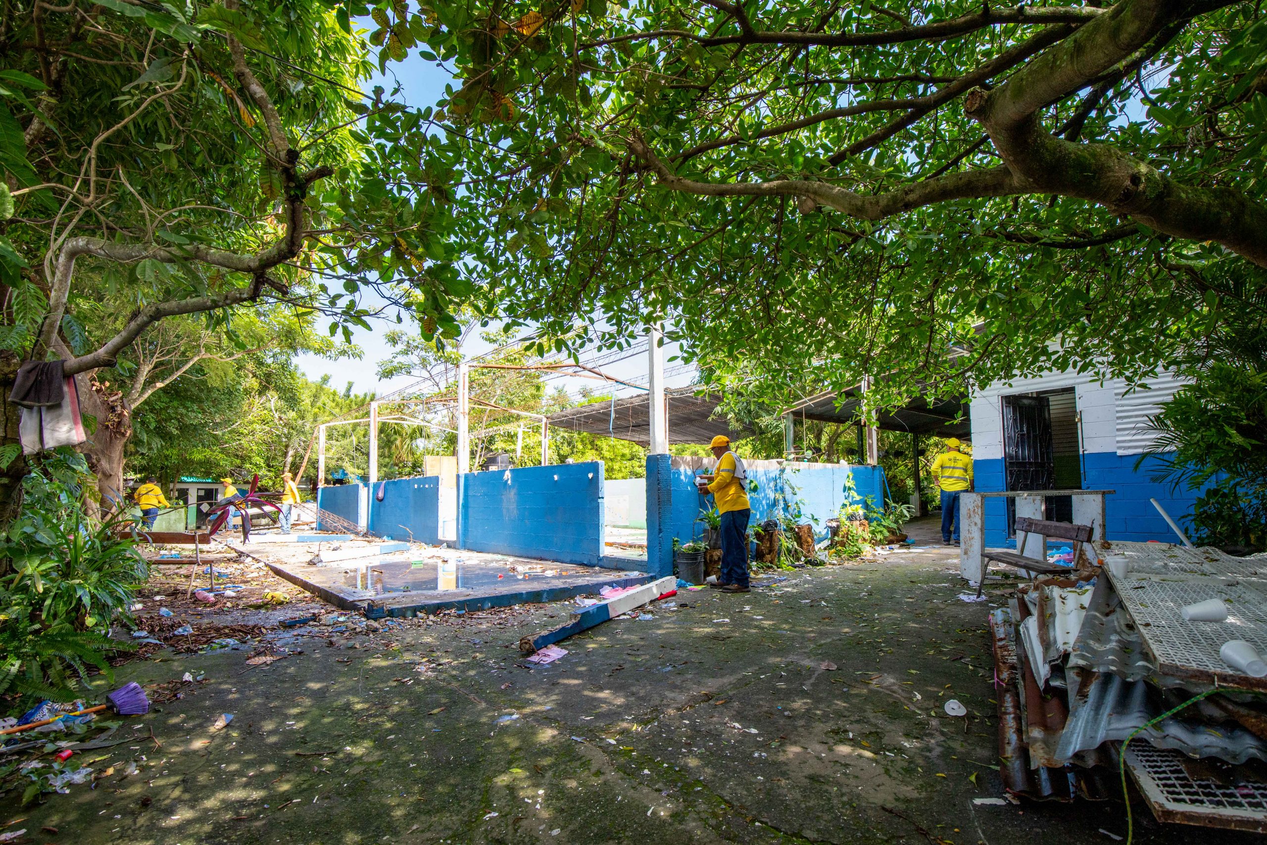 Imagen de la galería