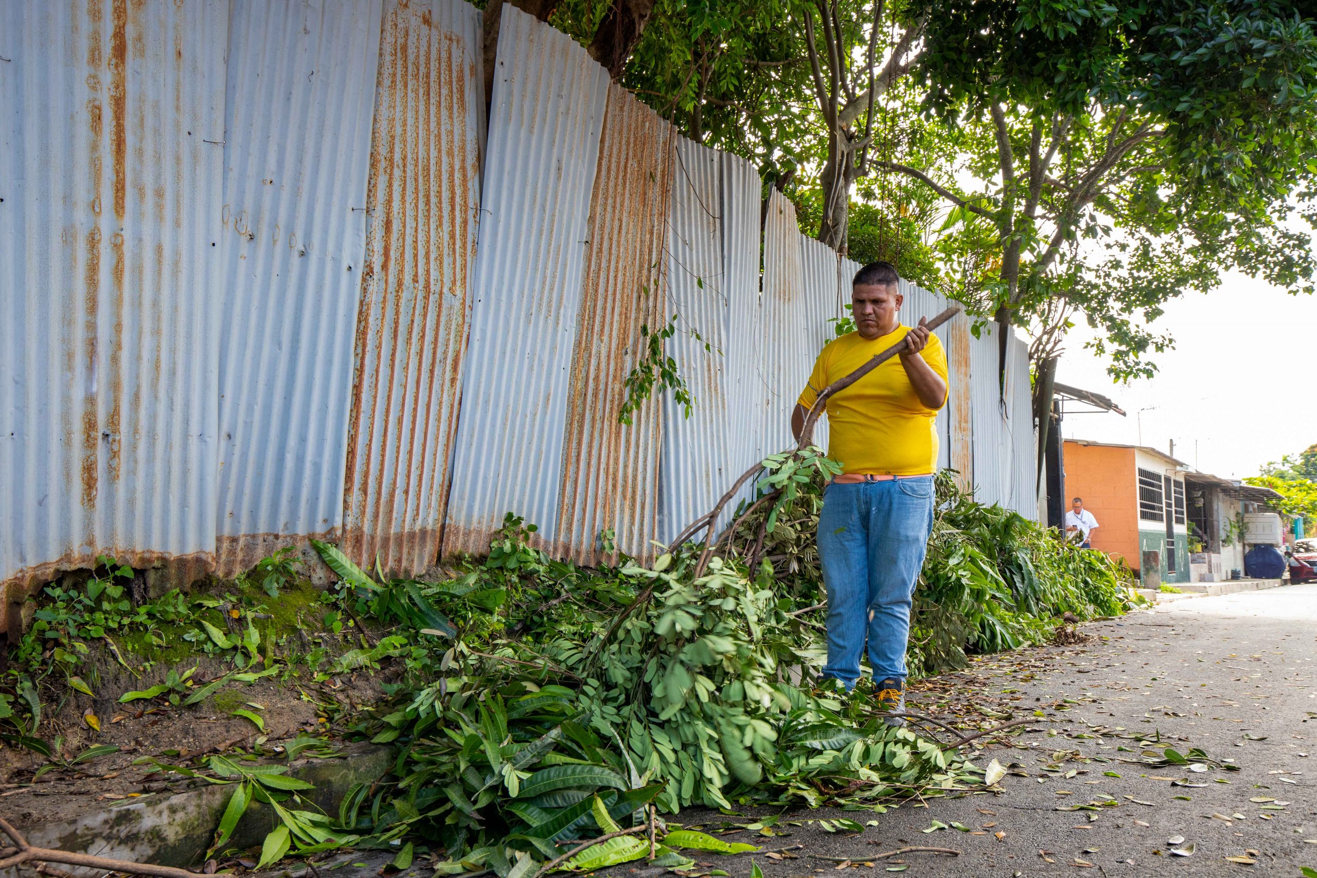 Imagen de la galería