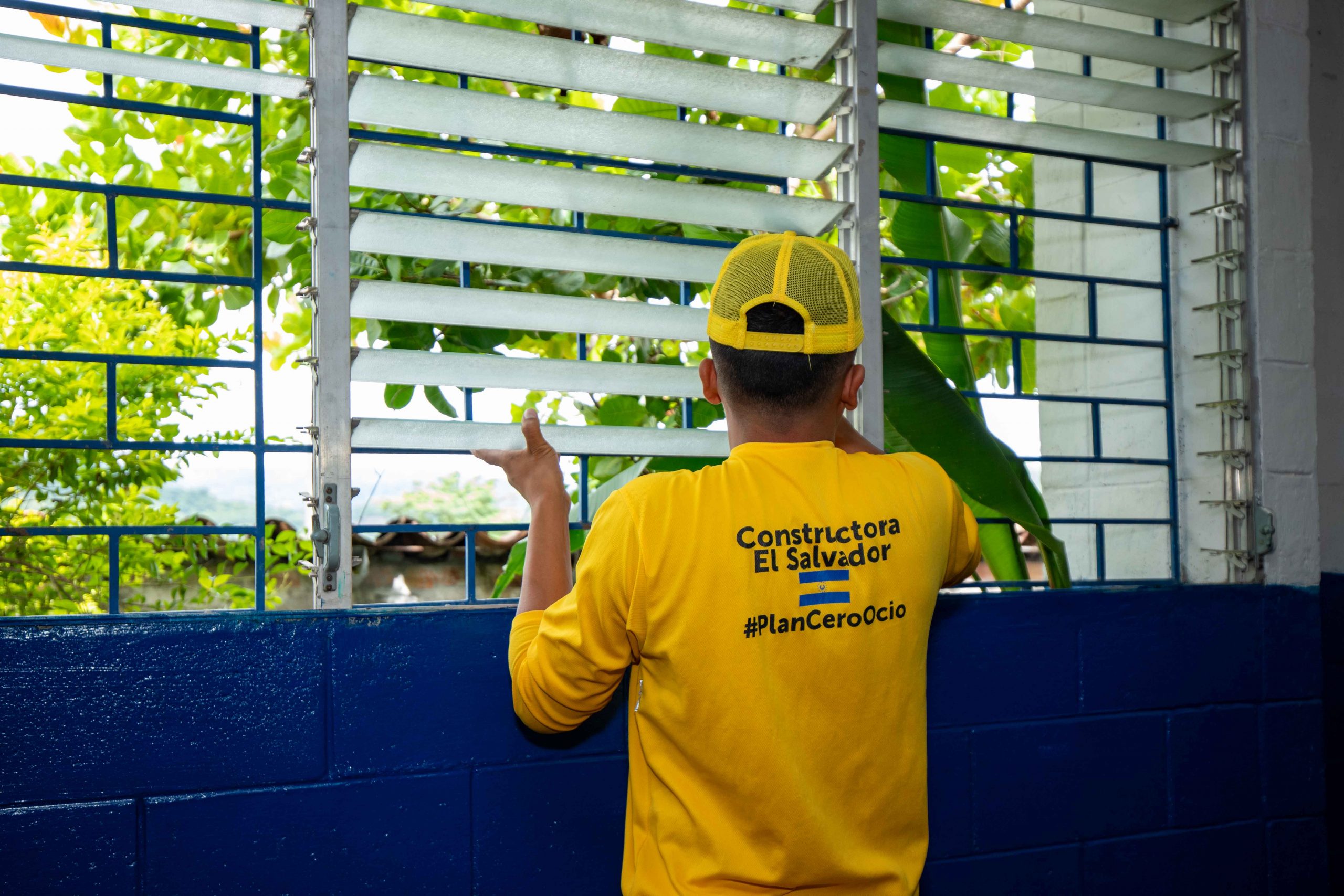 Imagen de la galería