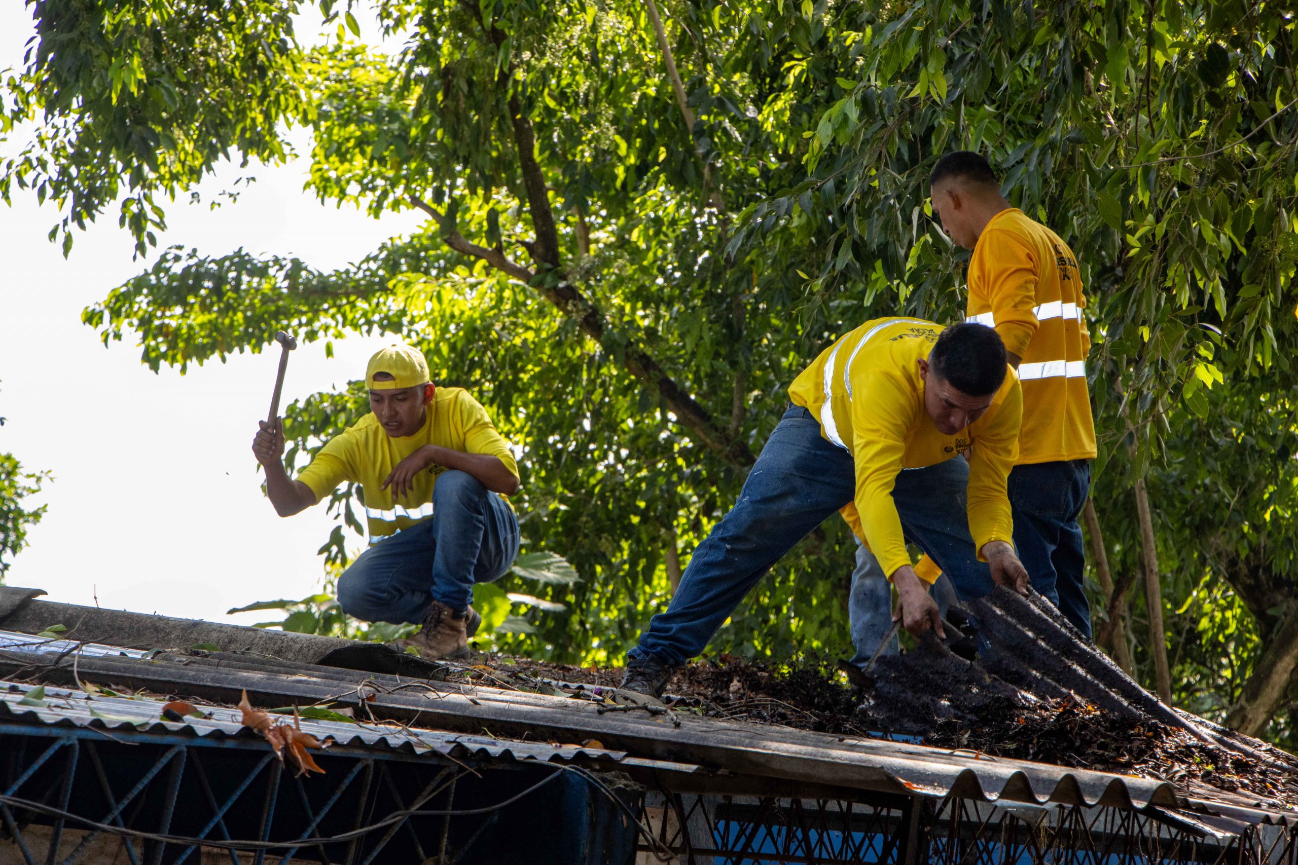 Imagen de la galería