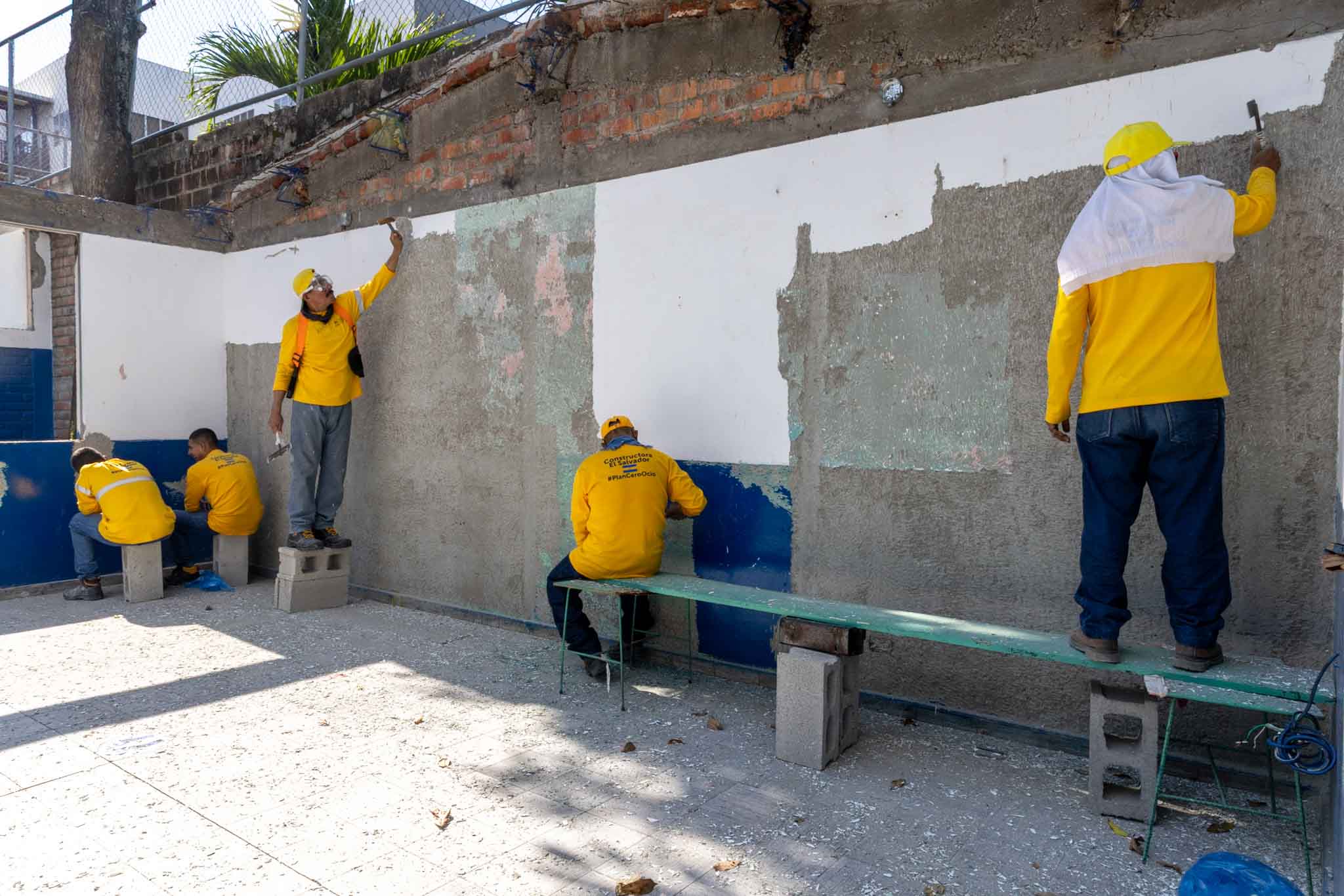 Imagen de la galería