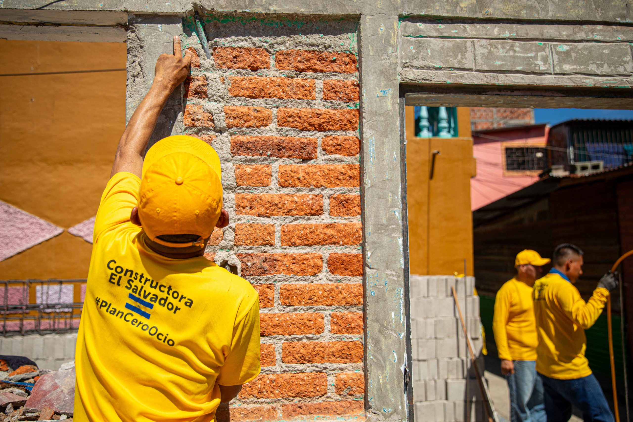 Imagen de la galería