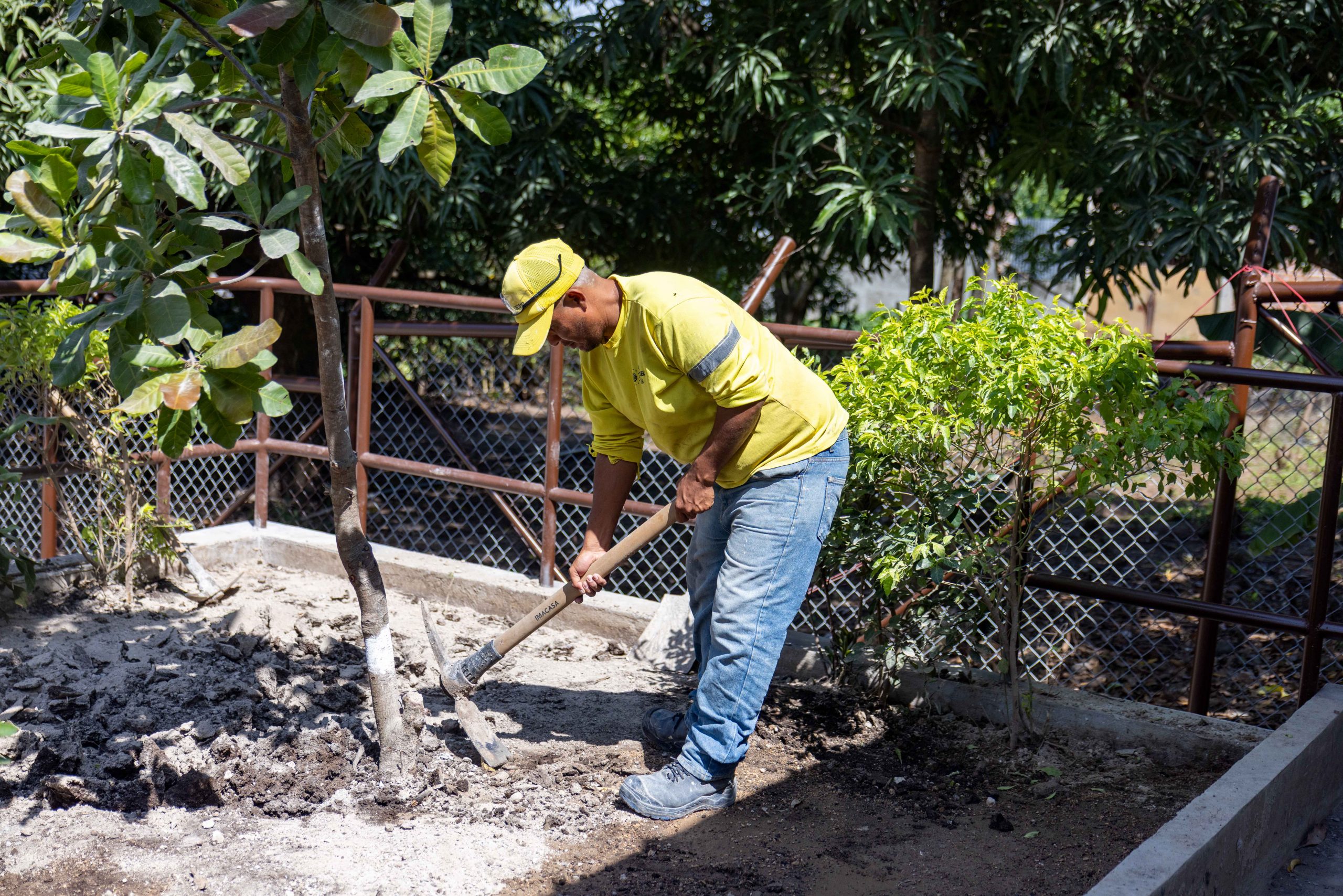 Imagen de la galería