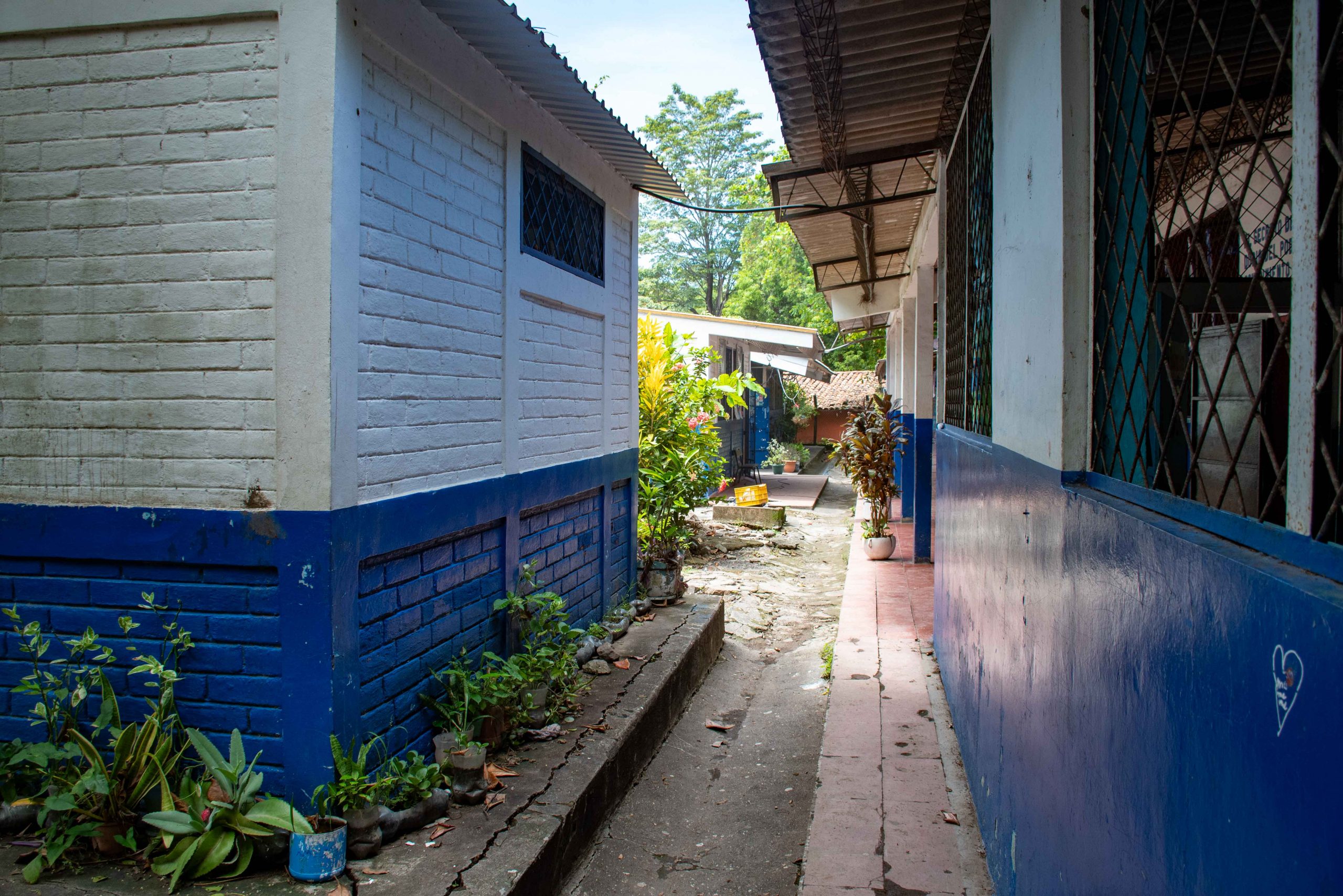 Imagen estado anterior