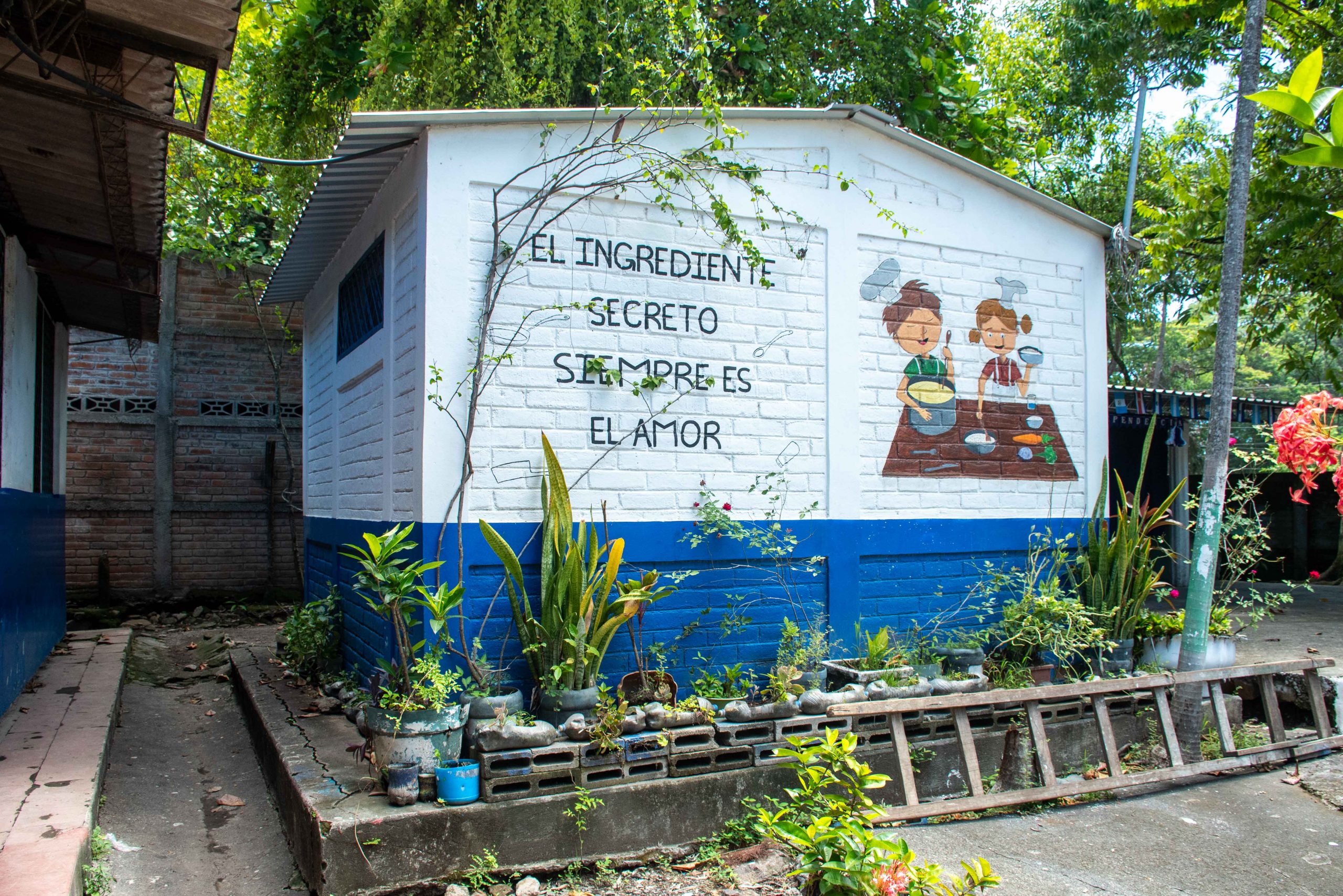 Imagen estado anterior