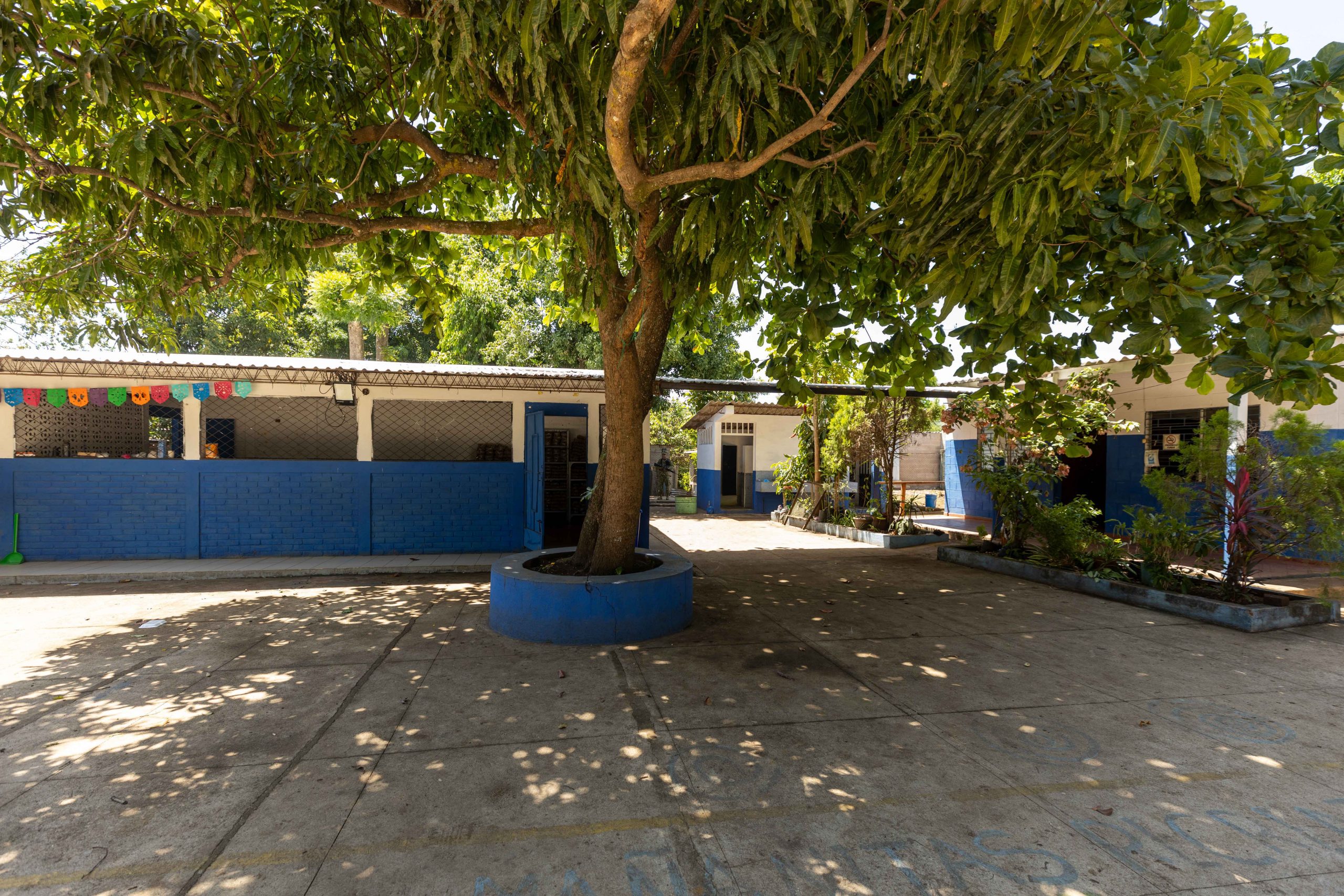 Imagen estado anterior