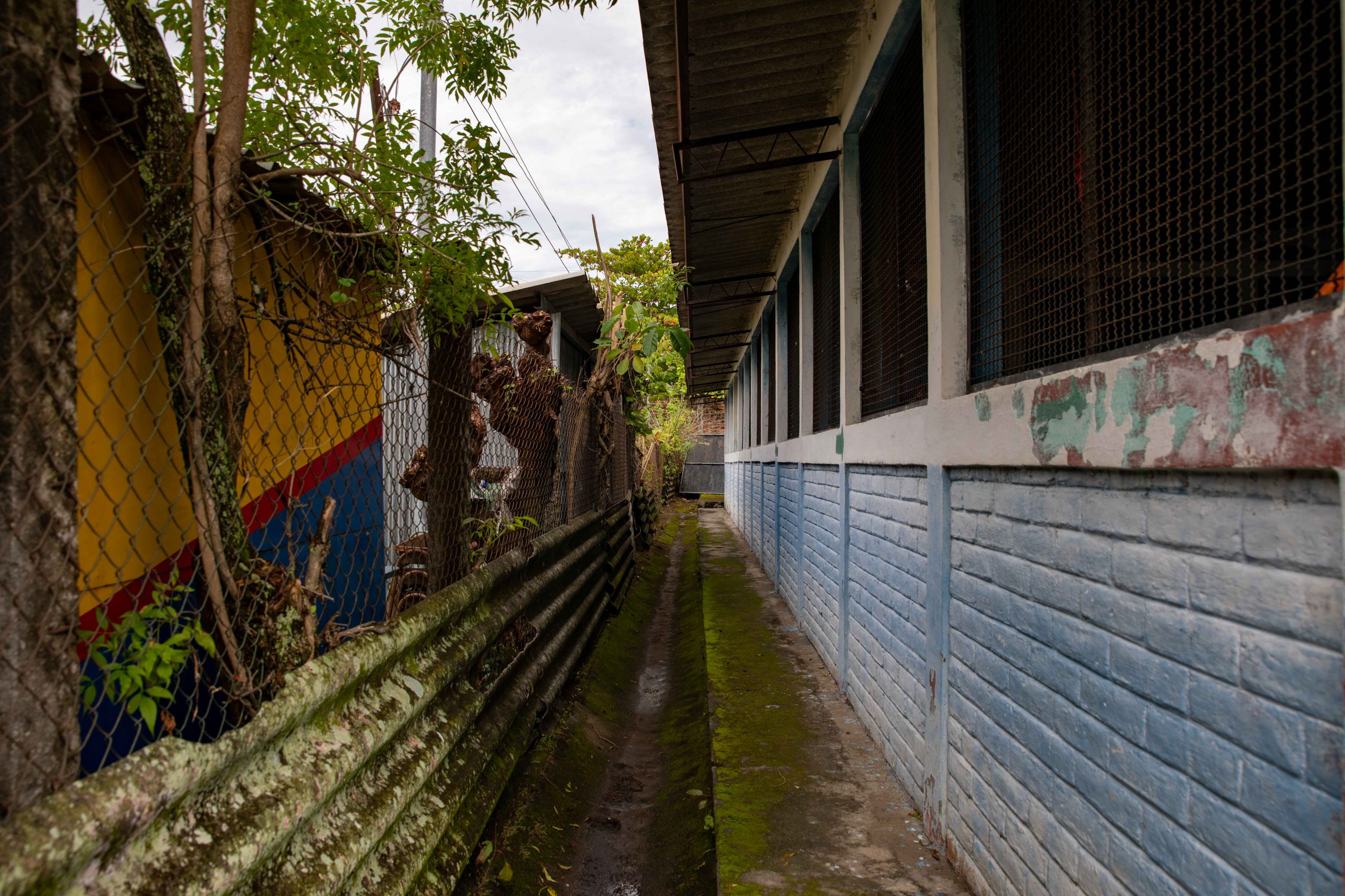 Imagen estado anterior