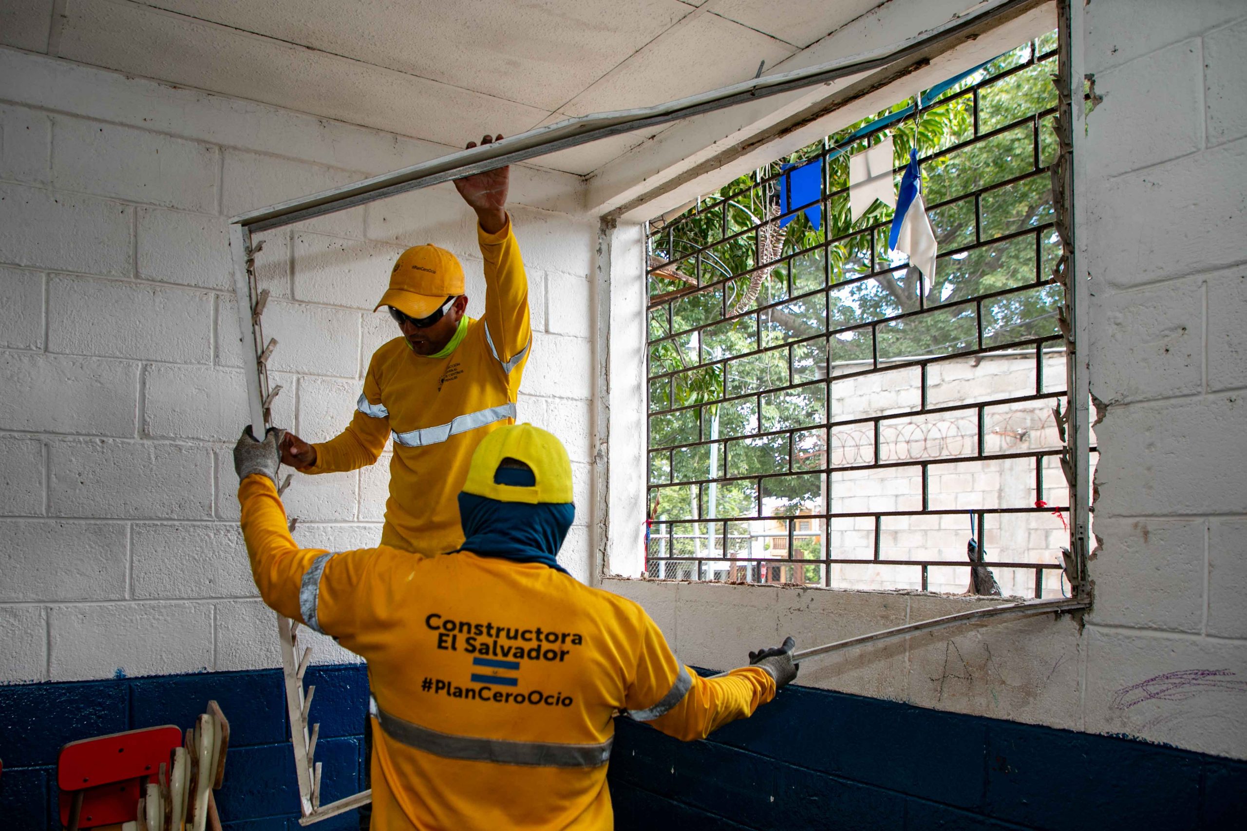 Imagen de la galería