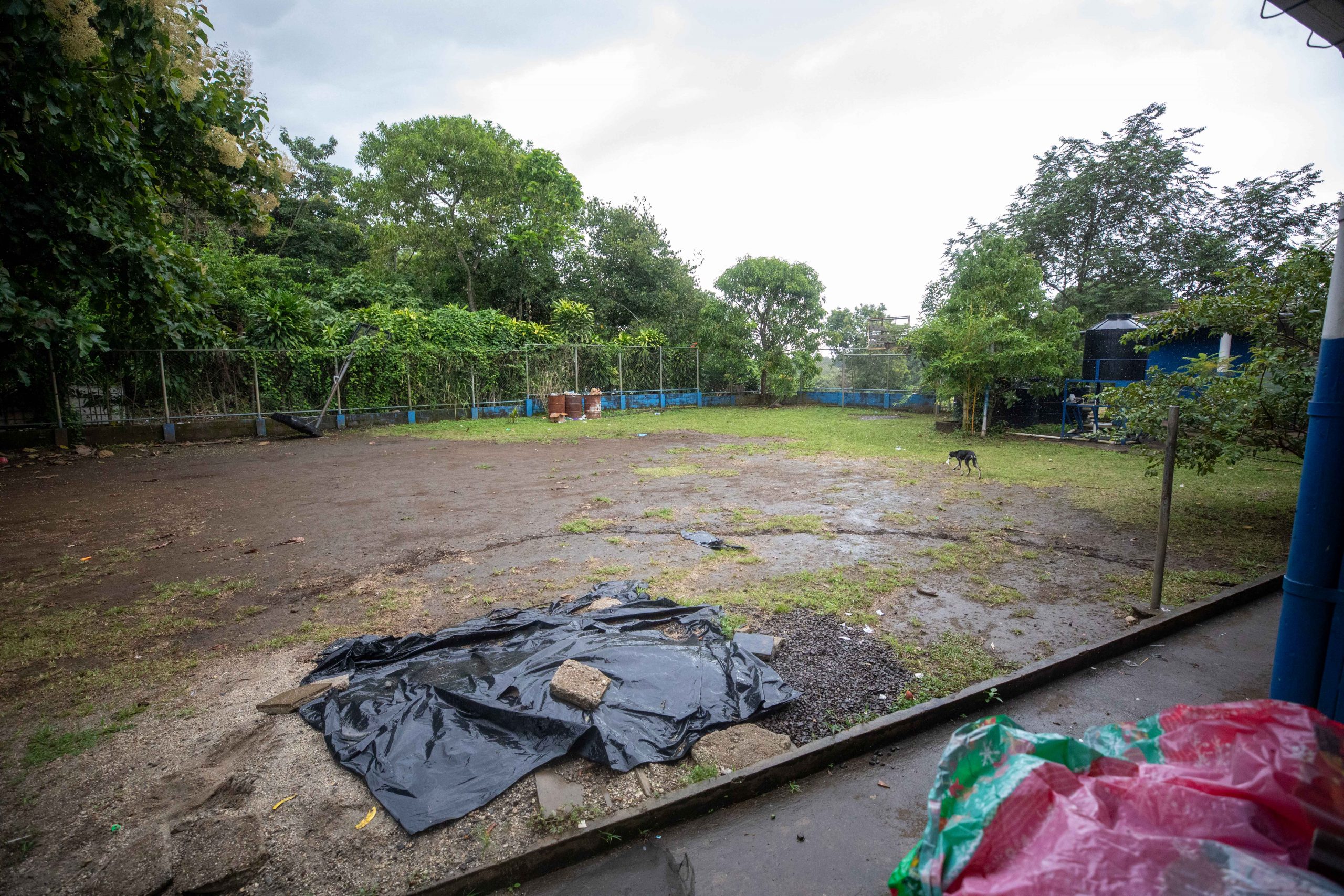 Imagen estado anterior