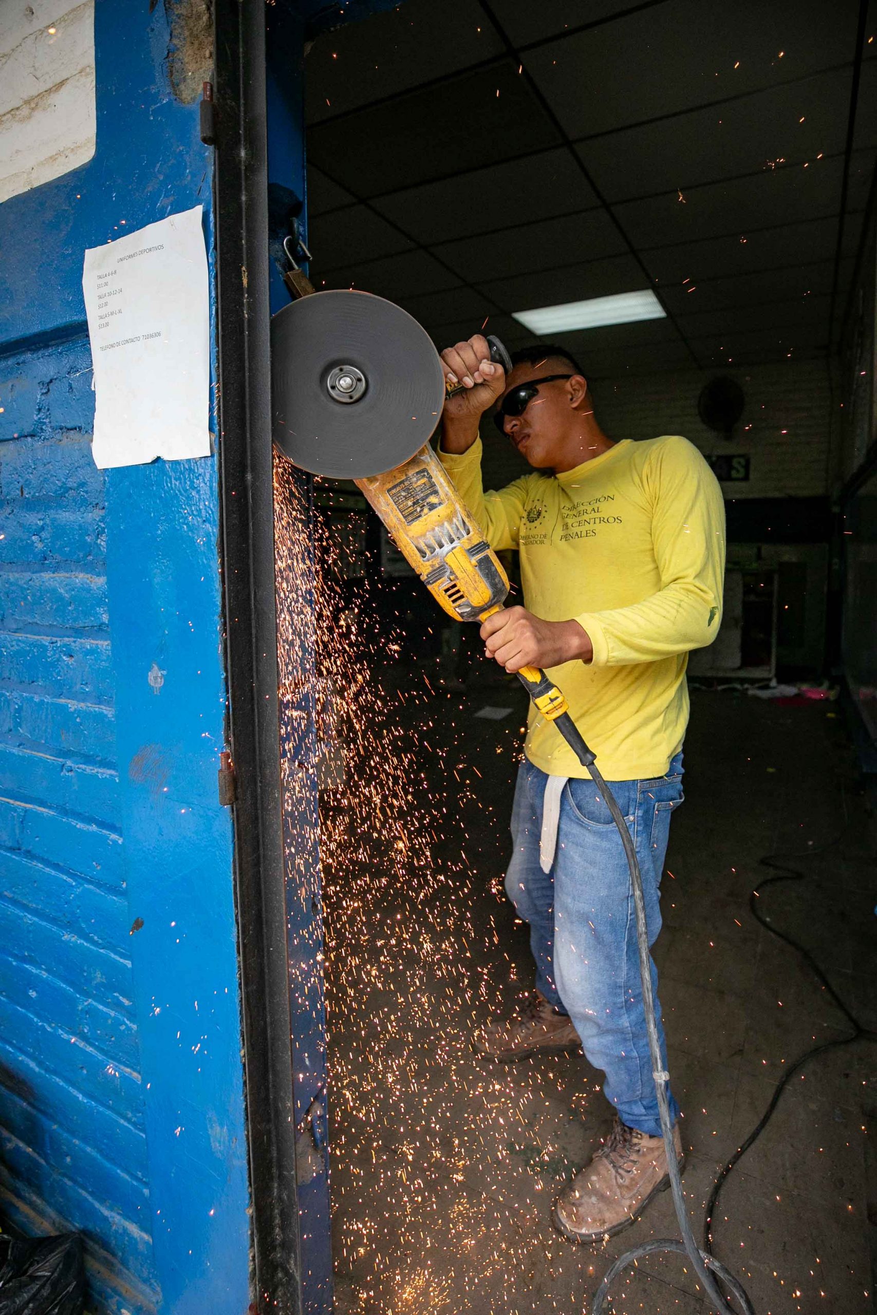 Imagen de la galería