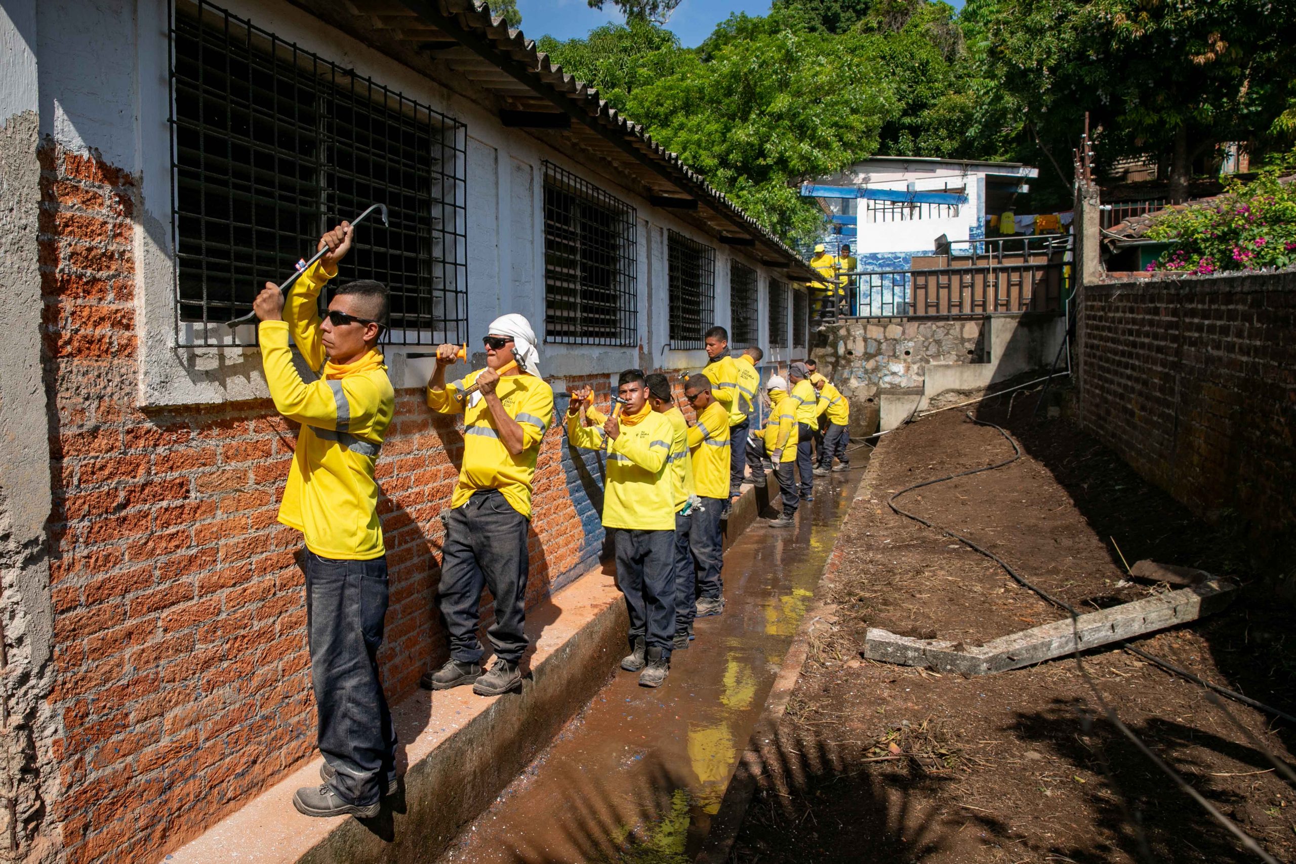 Imagen de la galería